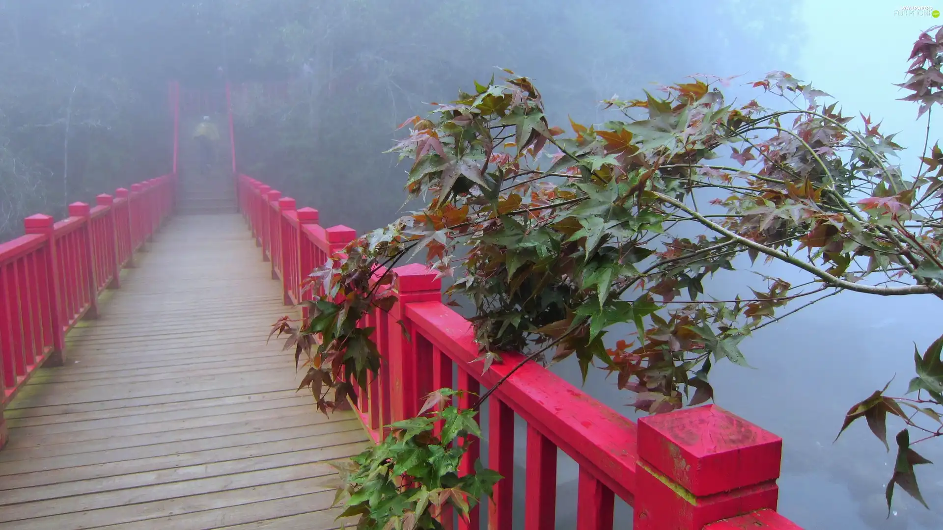 trees, viewes, bridge, Fog, wooden