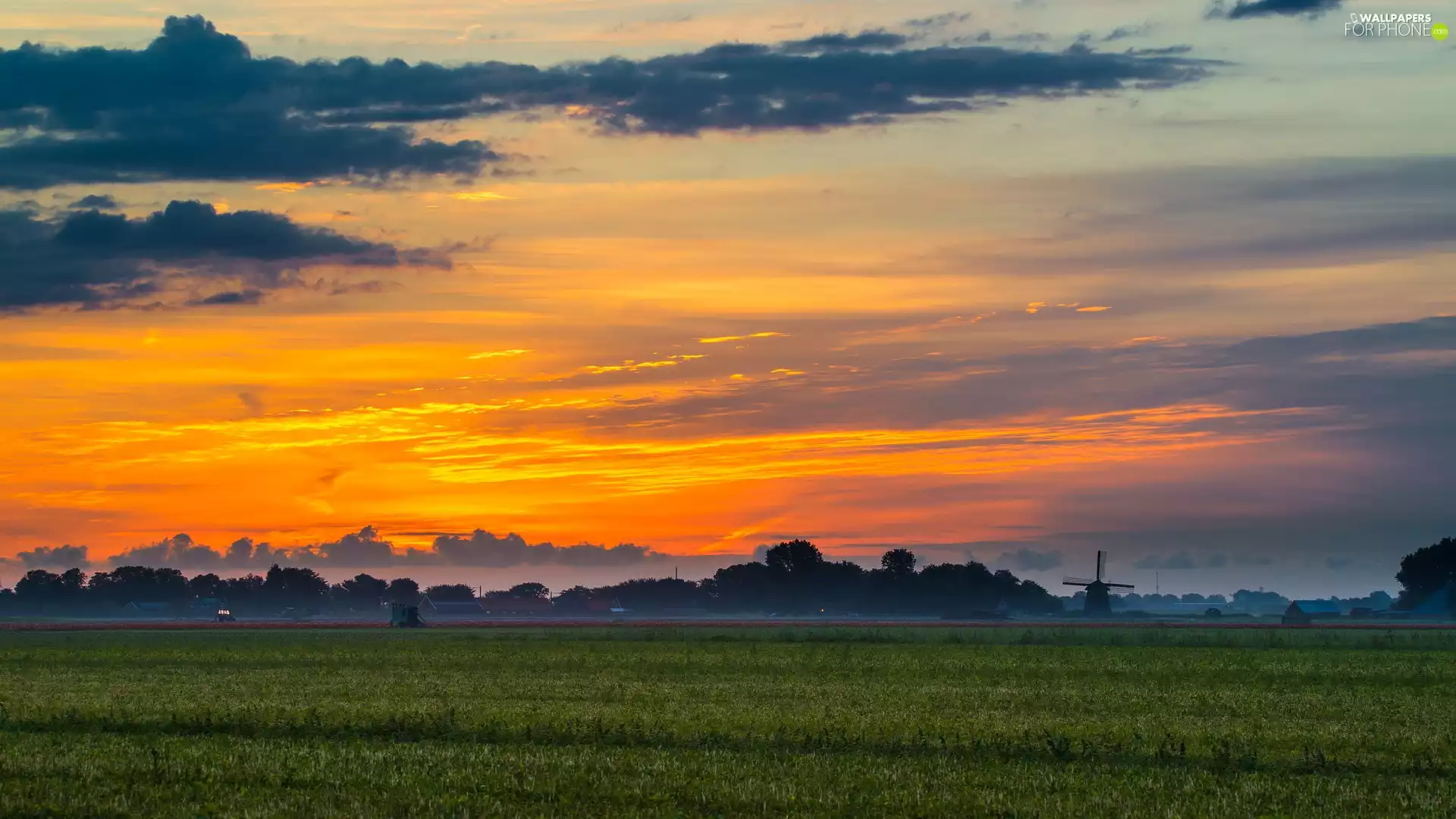 Sky, clouds, Windmill, field, viewes, color, Sunrise, trees