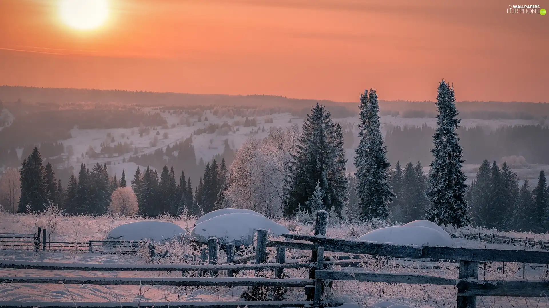 winter, viewes, Fance, trees