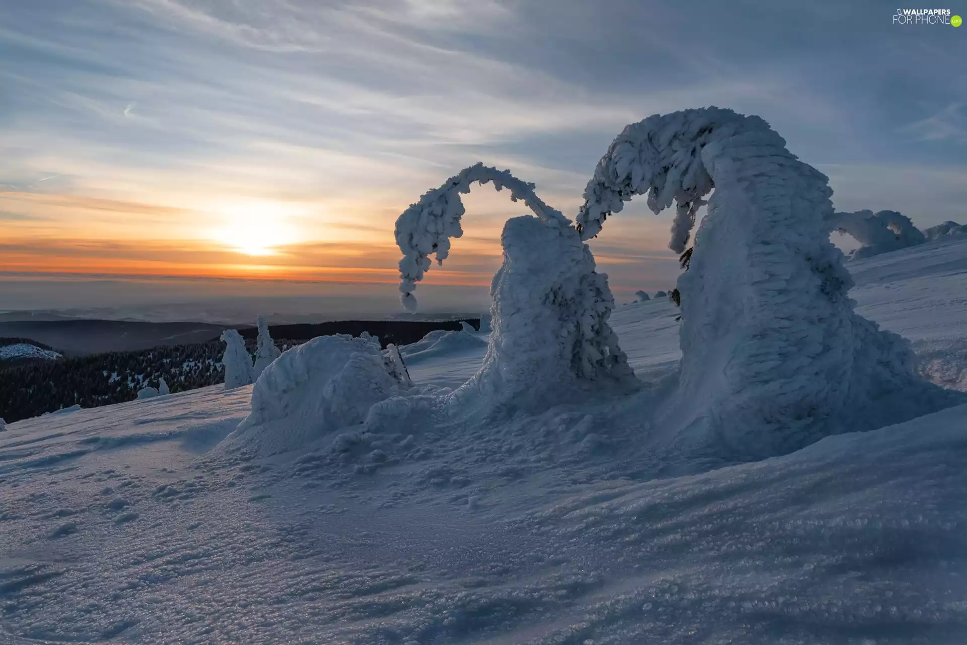 Great Sunsets, Hill, trees, viewes, winter