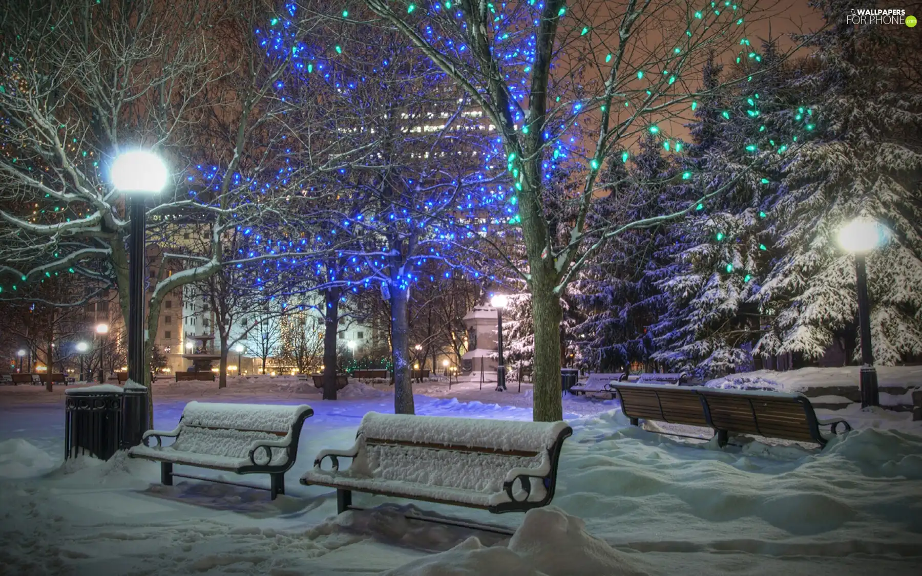 winter, Lights, trees, Town