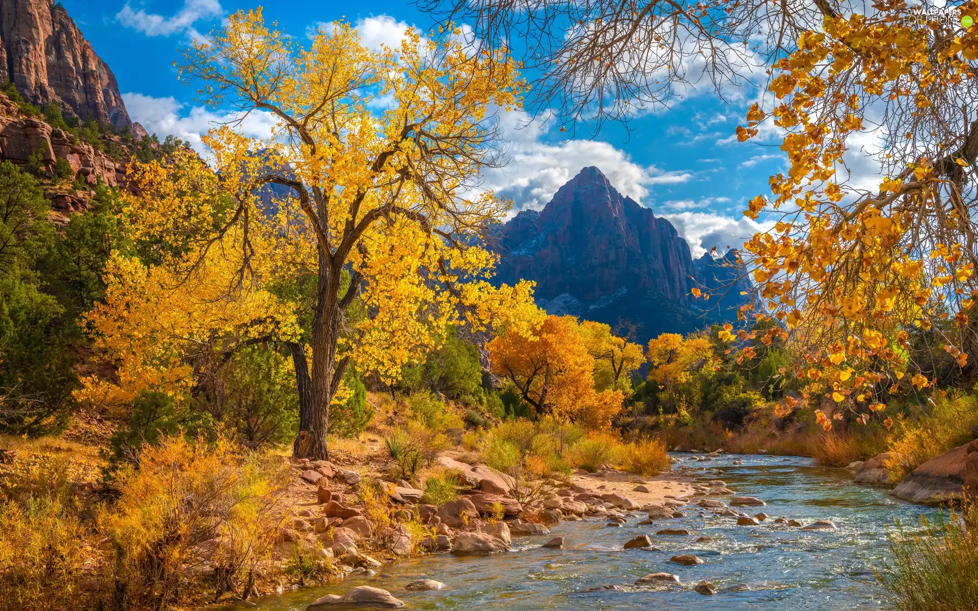 Virgin River, Zion National Park, trees, Stones, autumn, The United States, Utah State, Mountain Watchman, Mountains, clouds, viewes
