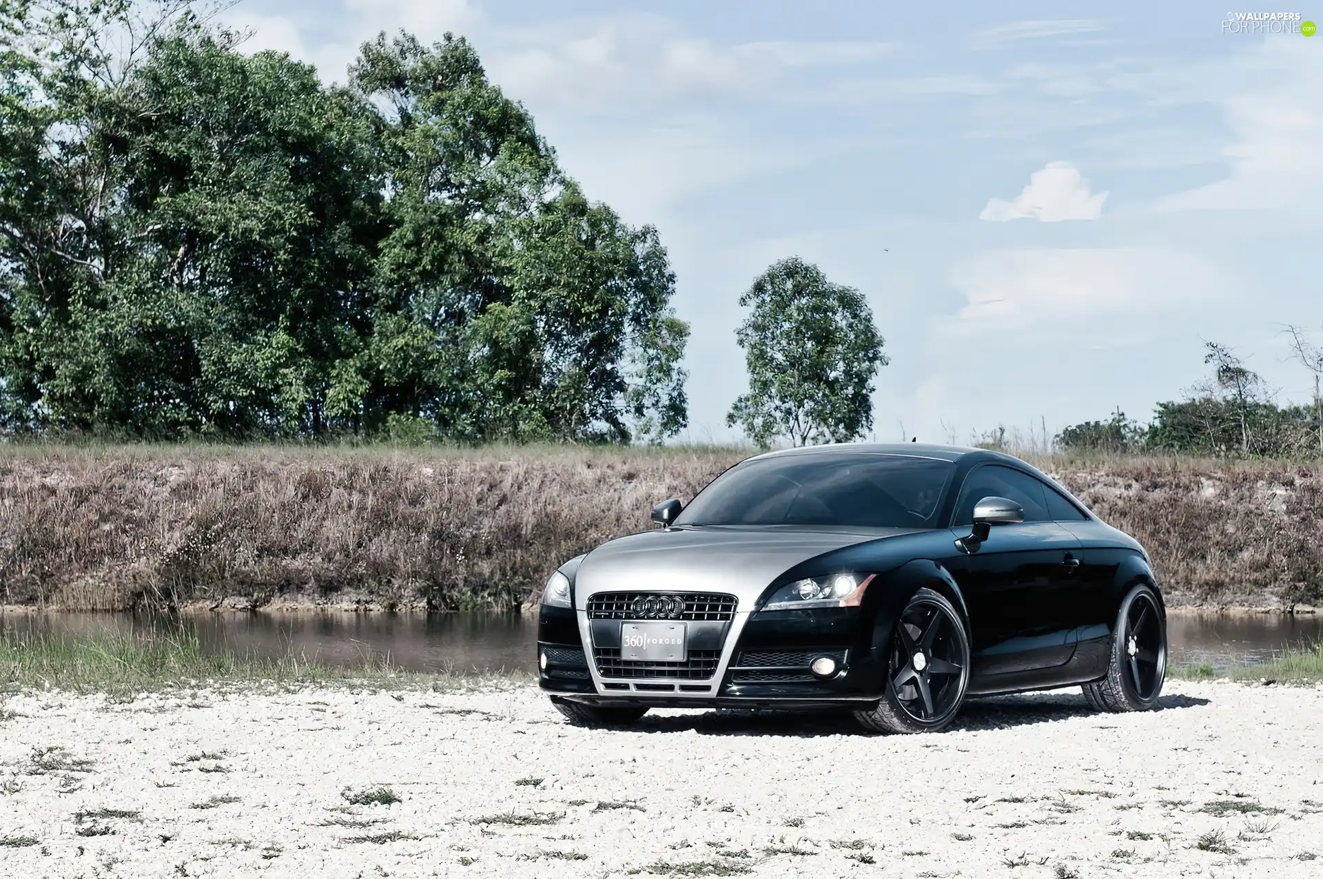 Audi TT Forged