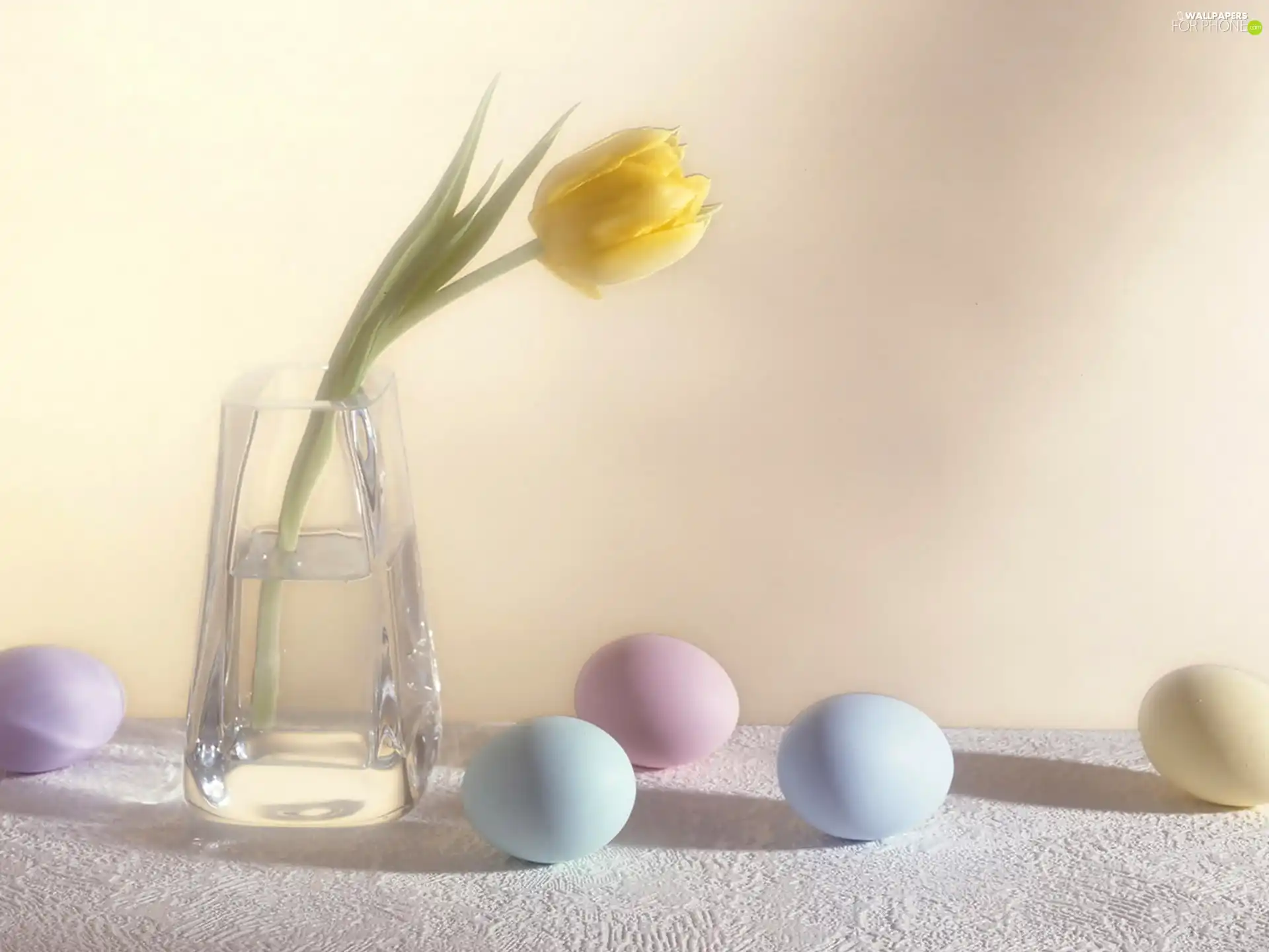 eggs, Vase, tulip, easter