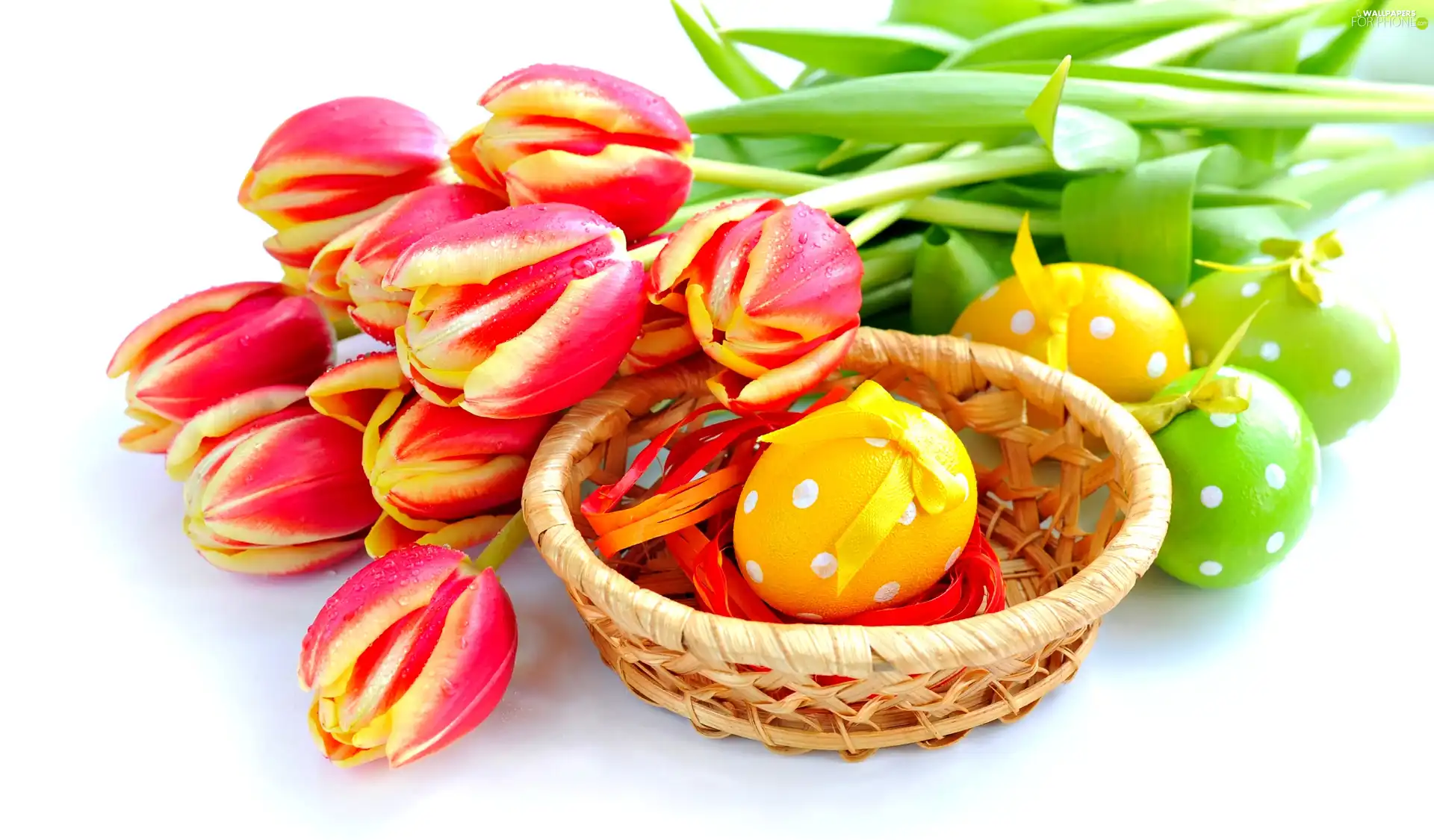 basket, eggs, Tulips, easter