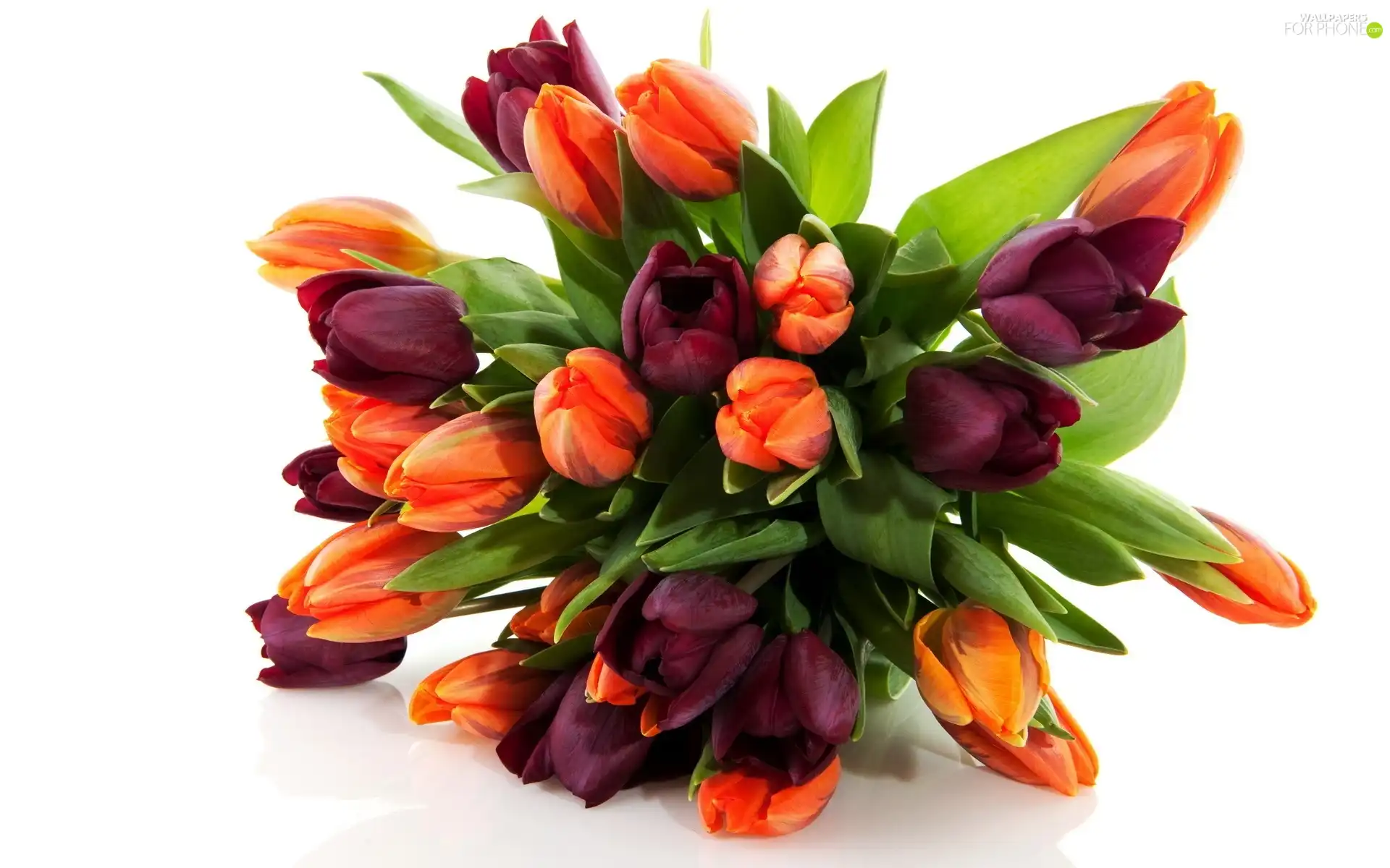 bouquet, tulips