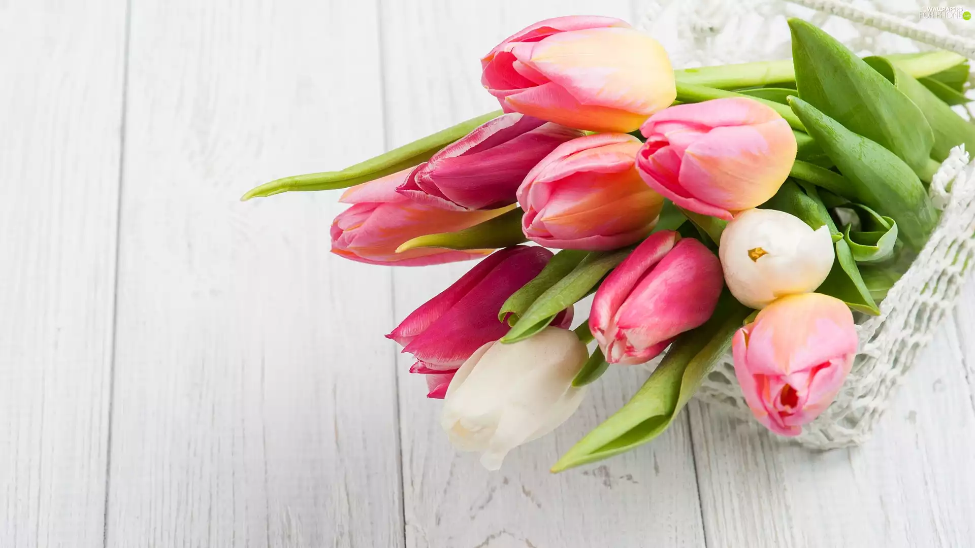 color, basket, boarding, Tulips