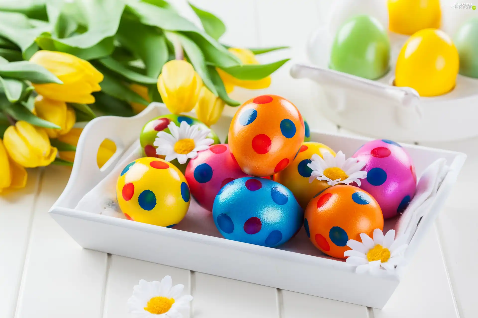decoration, eggs, Tulips, Easter