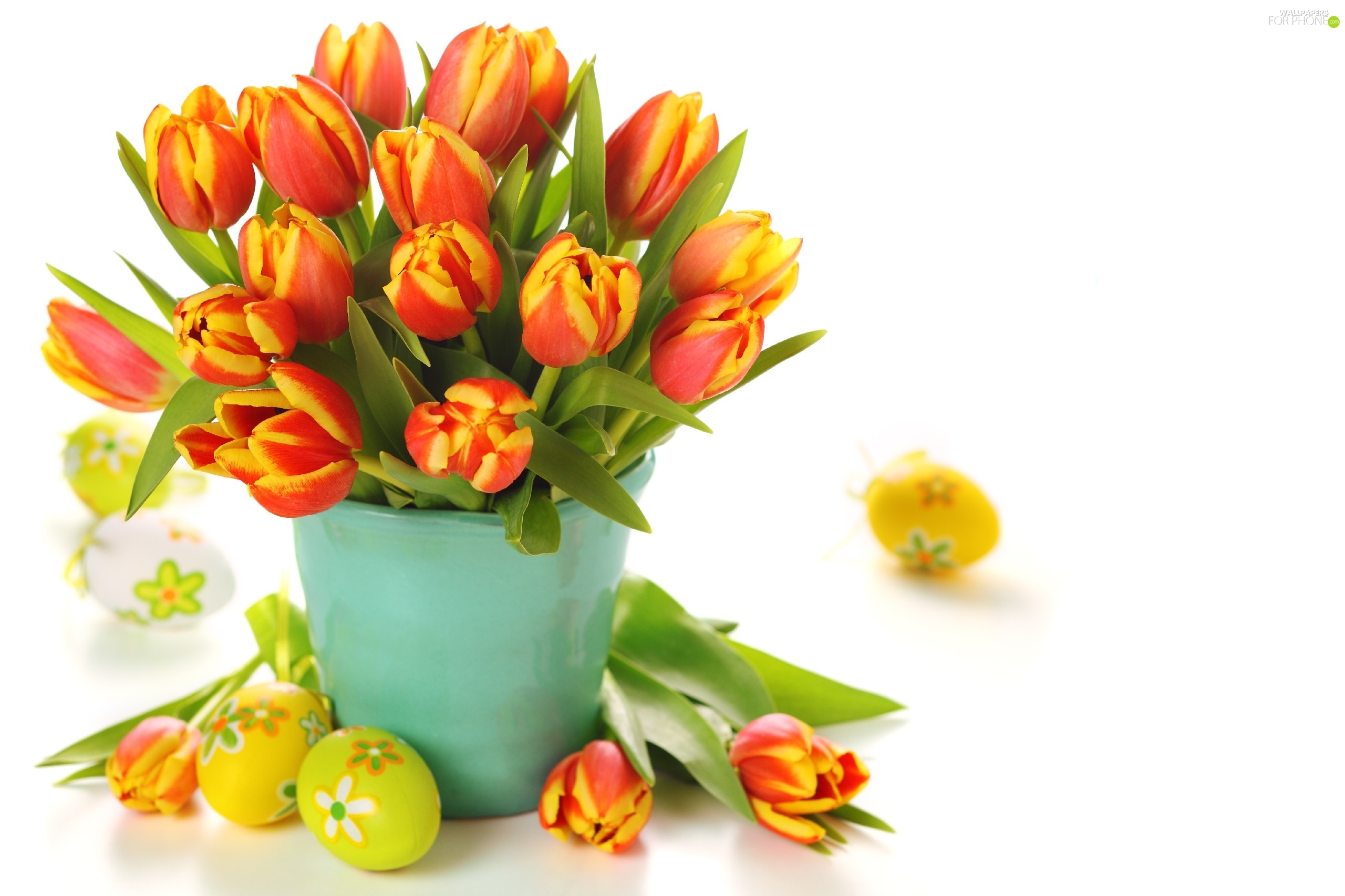 Tulips, Easter, eggs