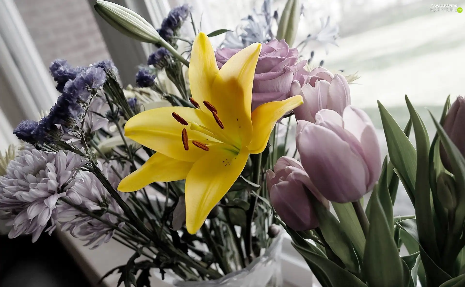 Tulips, bouquet, flowers