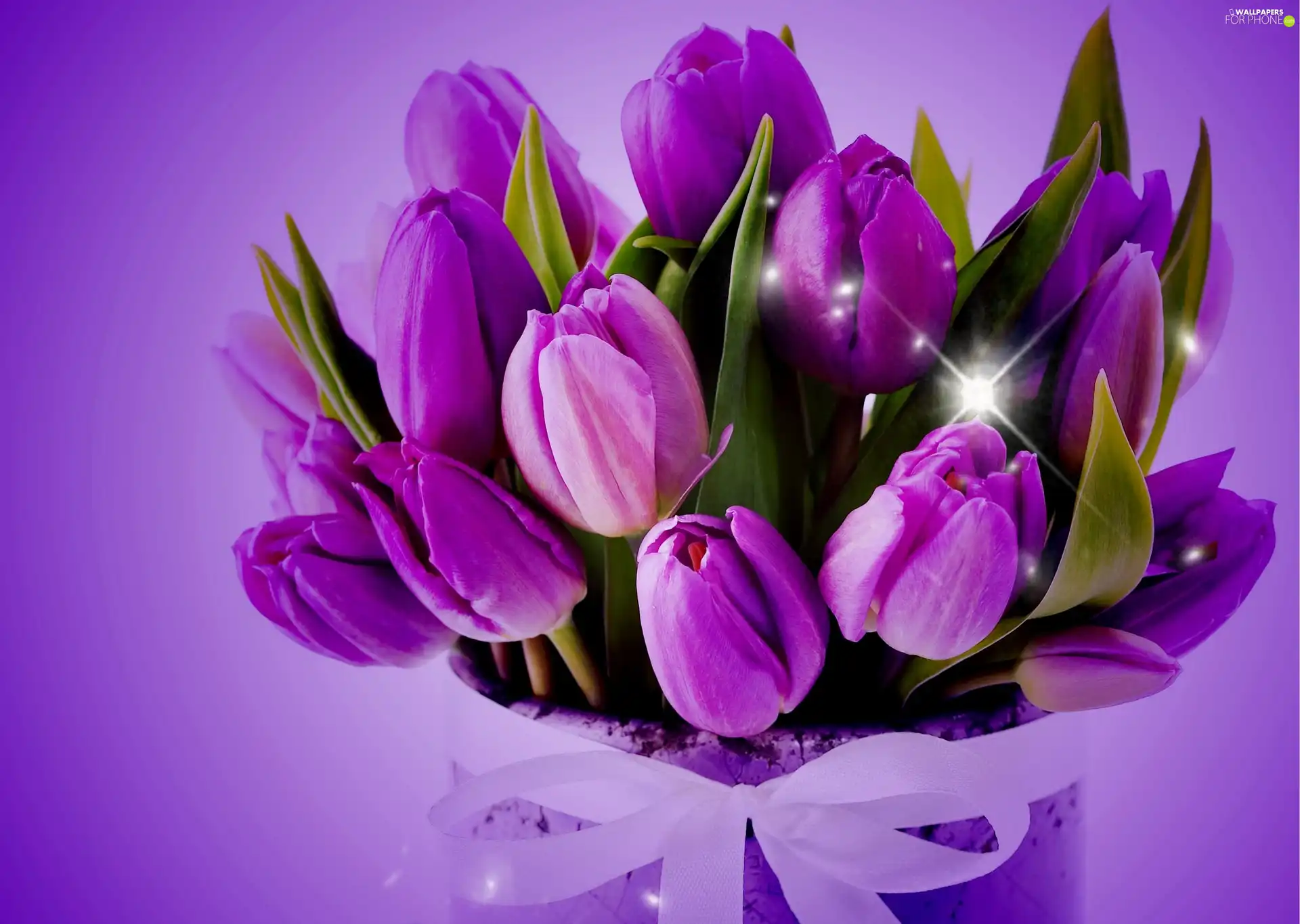 tulips, bouquet, violet