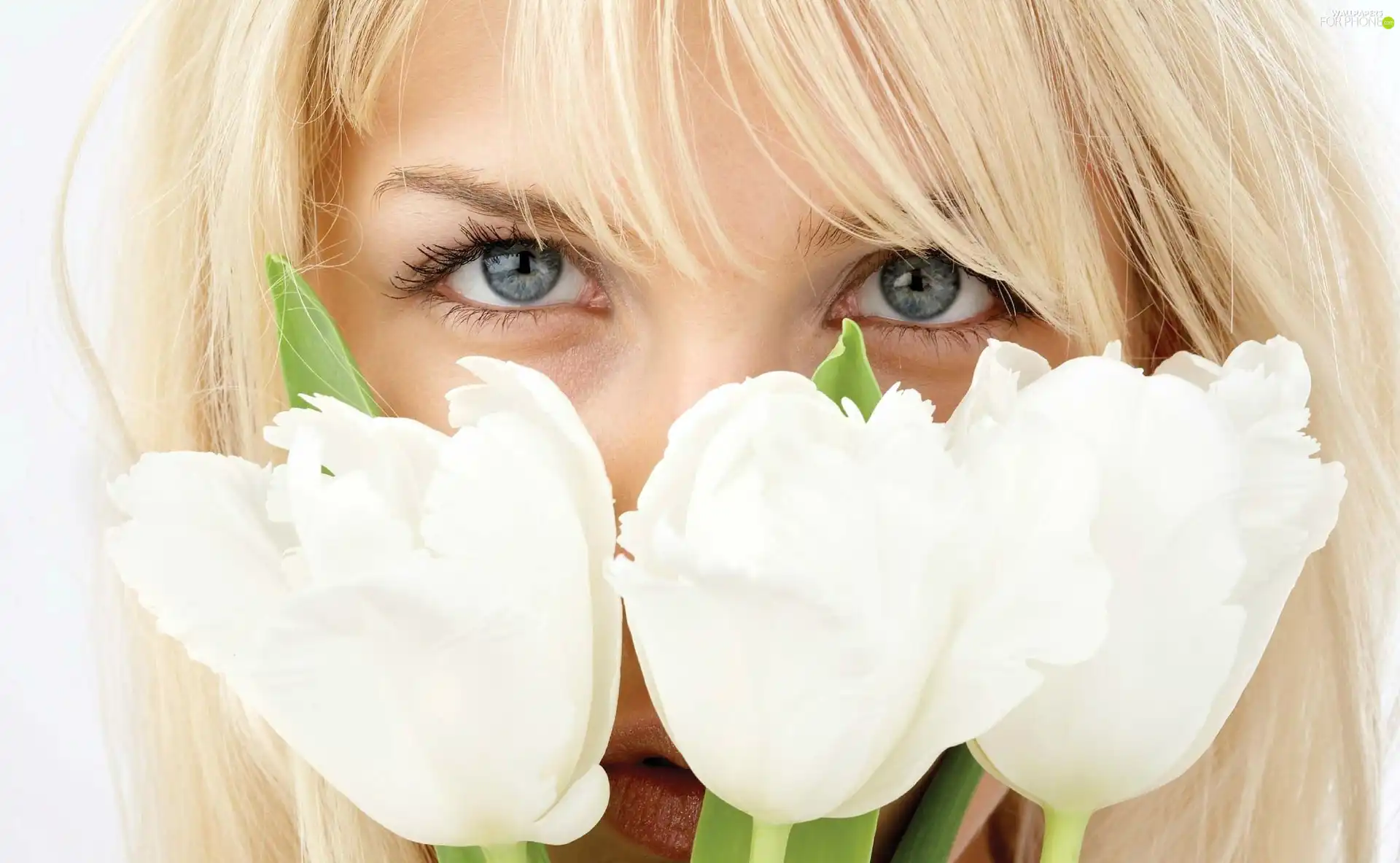 Women, White, Tulips, Eyes