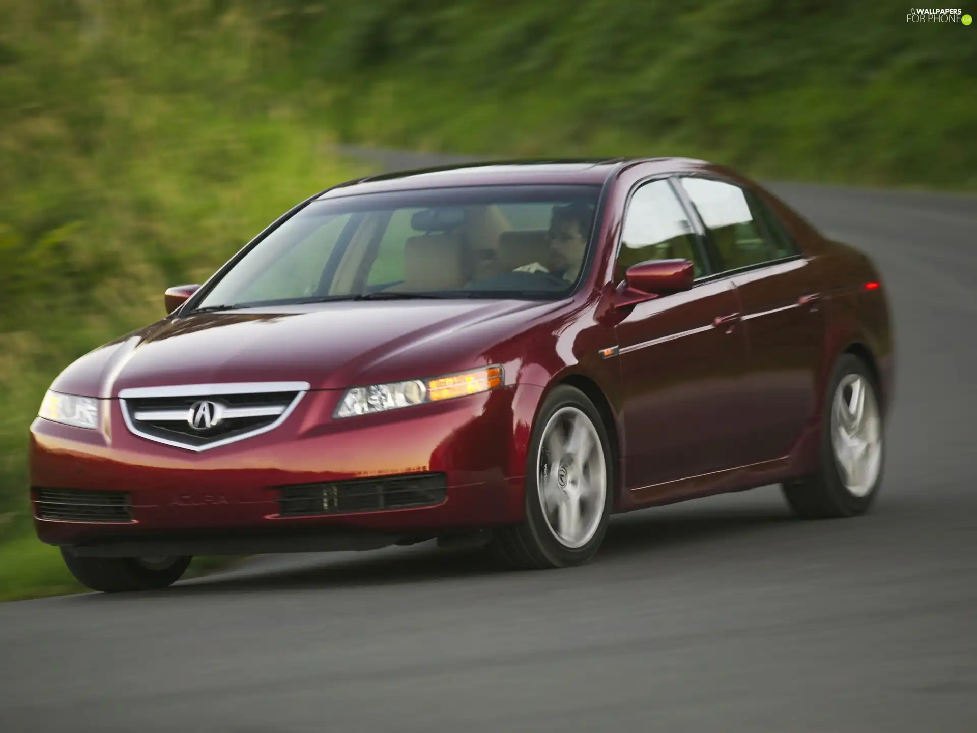 Cherry, driver, turn, Acura TL