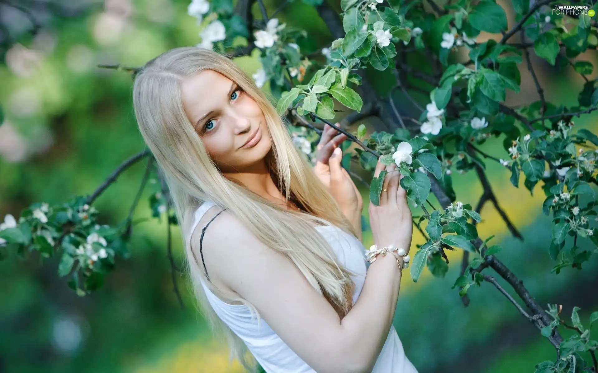 lovely, Blossoming, twig, Blonde