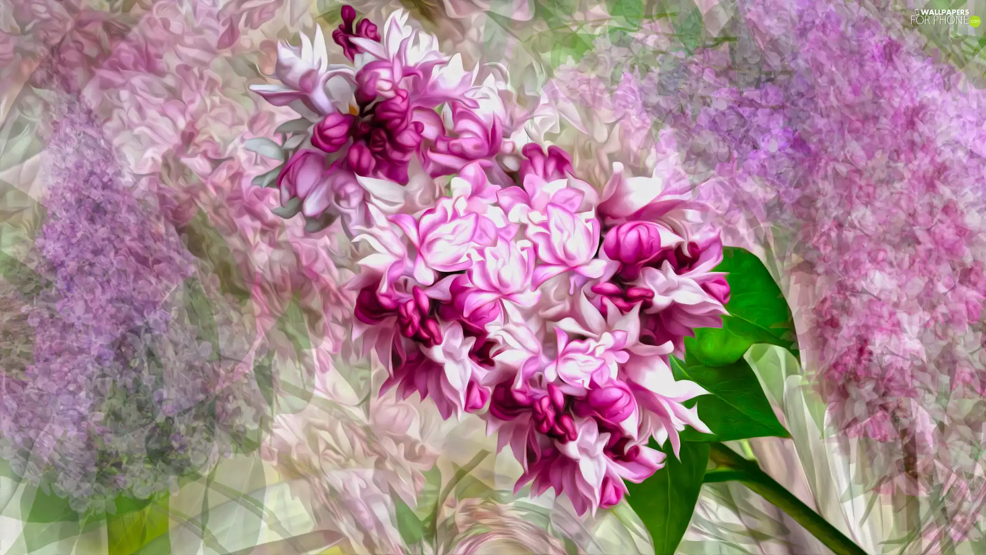 twig, graphics, without