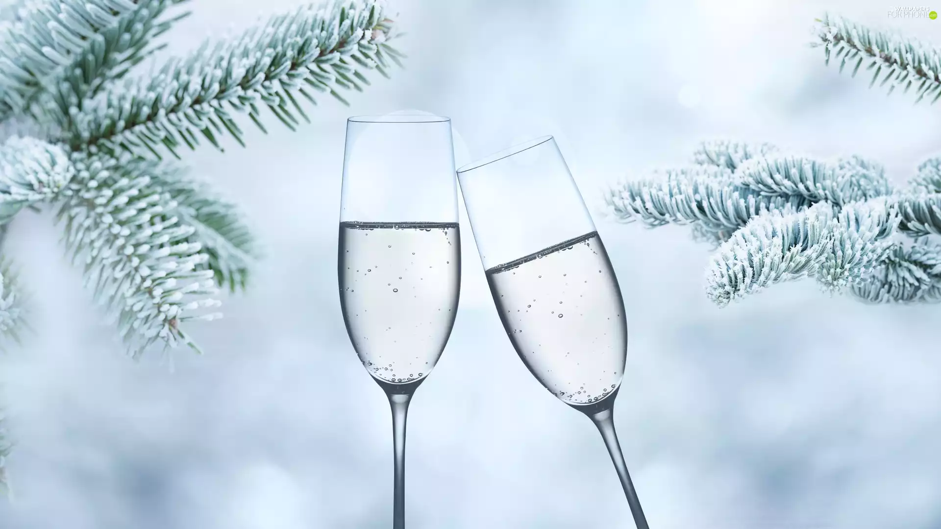 Champagne, Two cars, Twigs, spruce, frosty, glasses