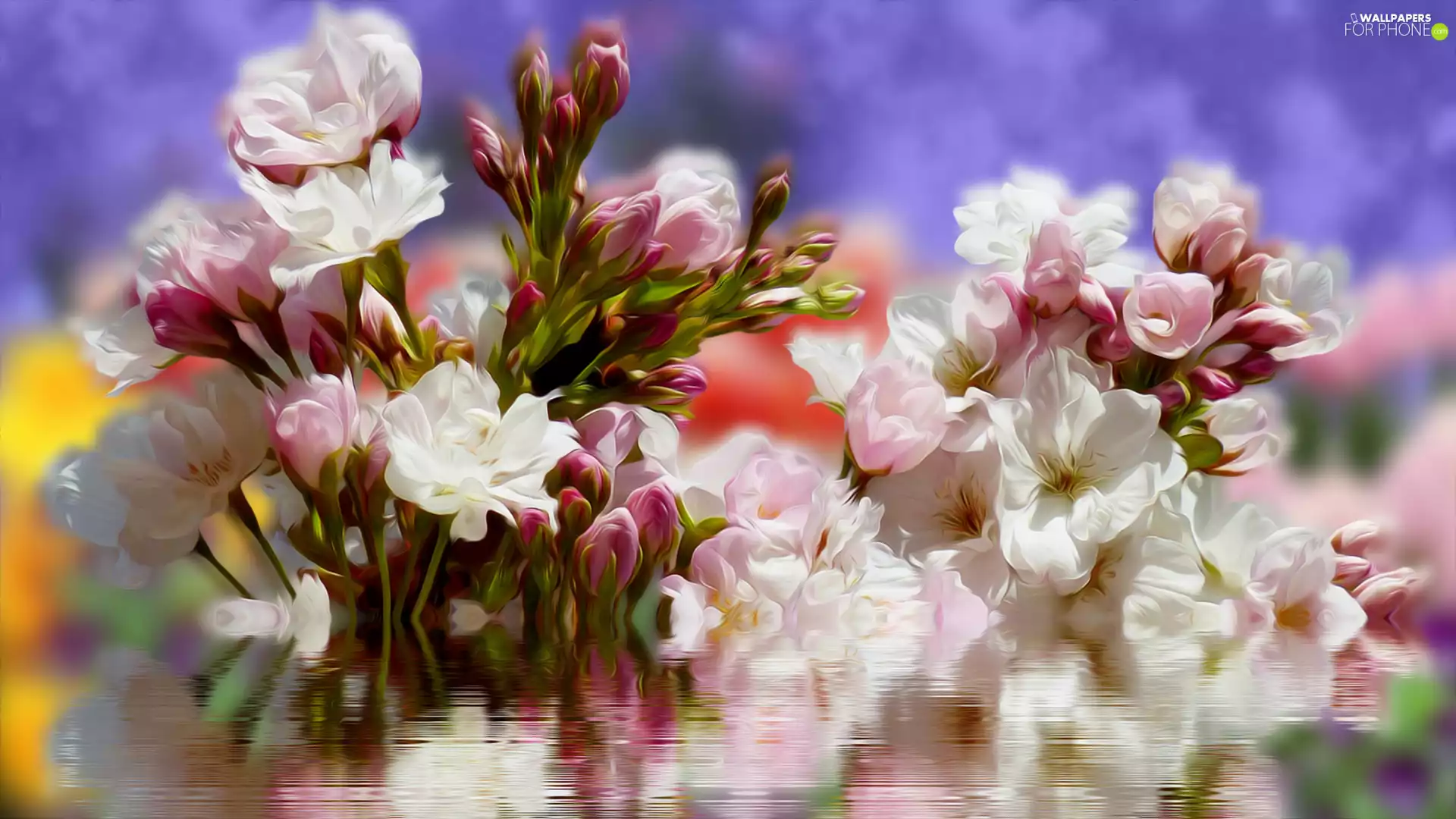 Flowers, reflection, graphics, Twigs