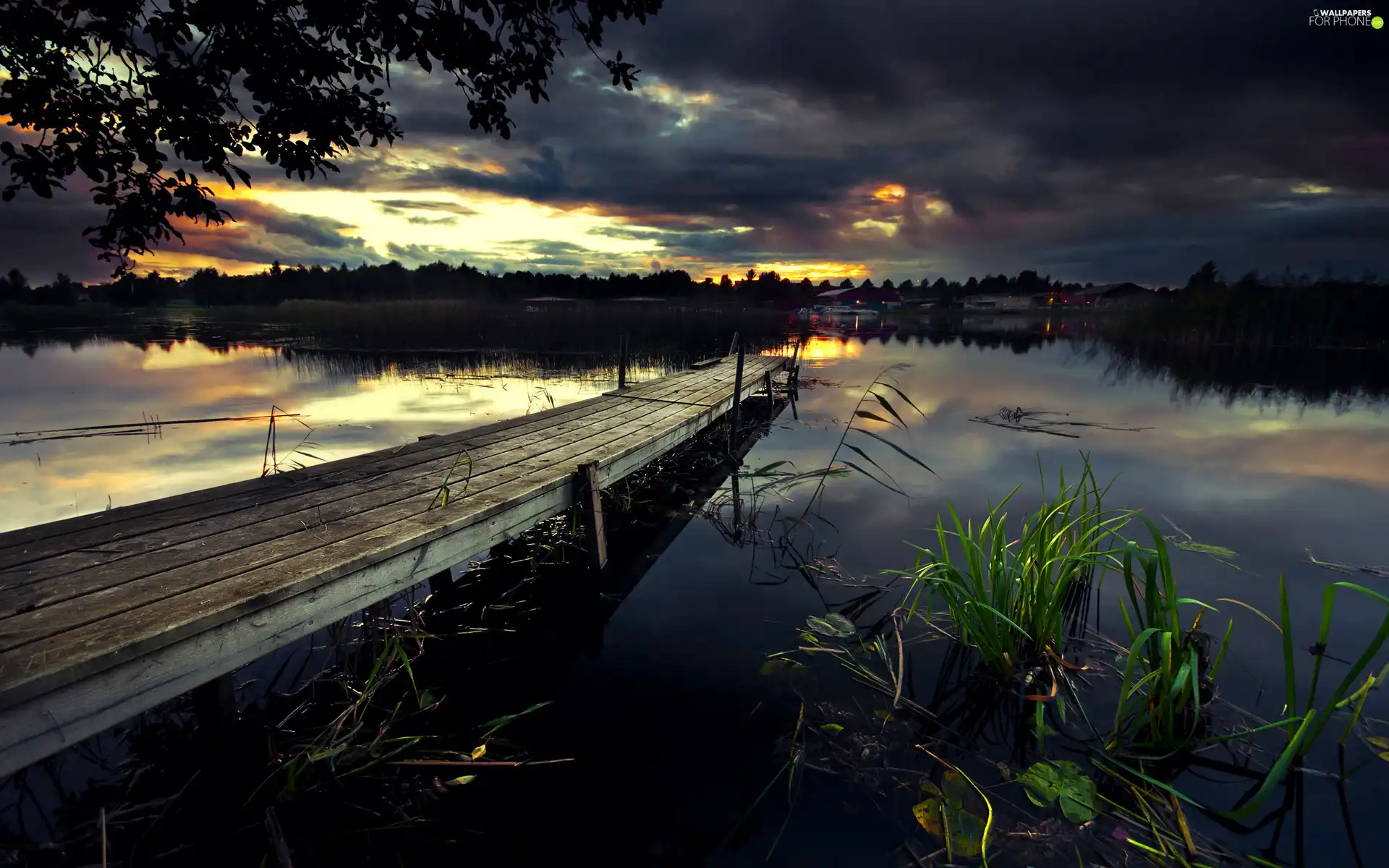 lake, Platform, twilight, Plants