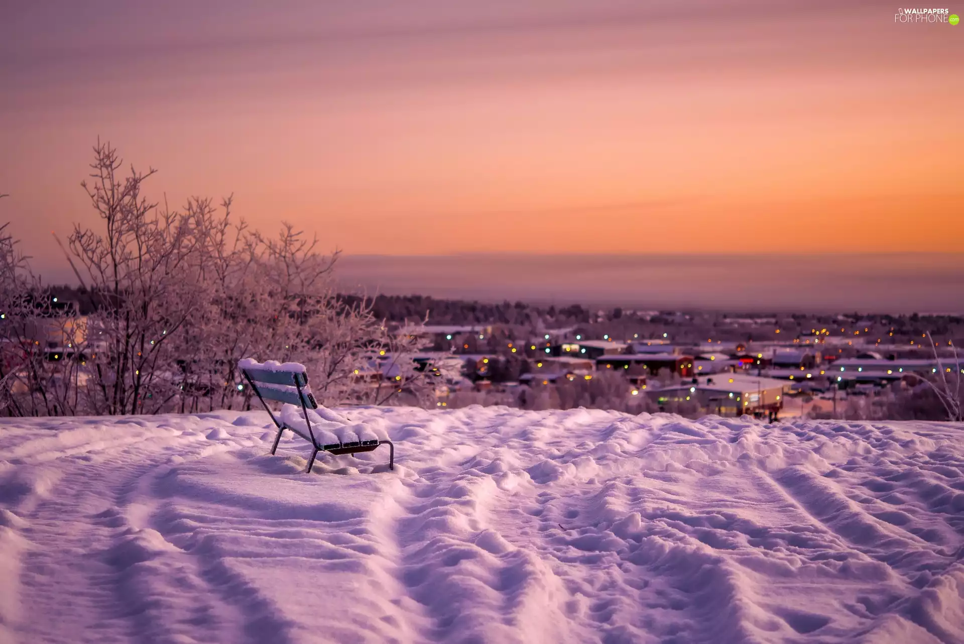 winter, Hill, Bench, twilight