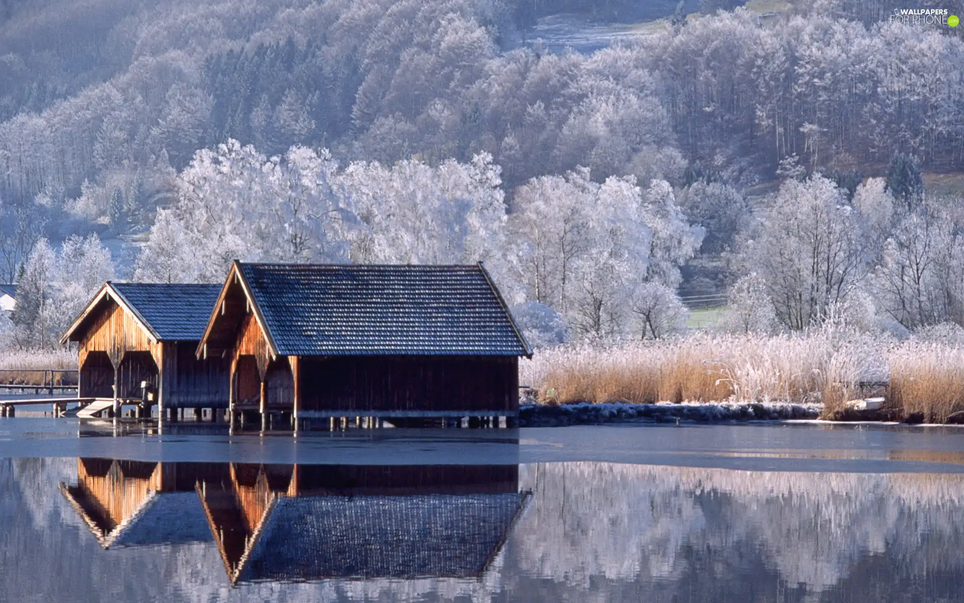 snow, viewes, wood, Covered, trees, two, buildings