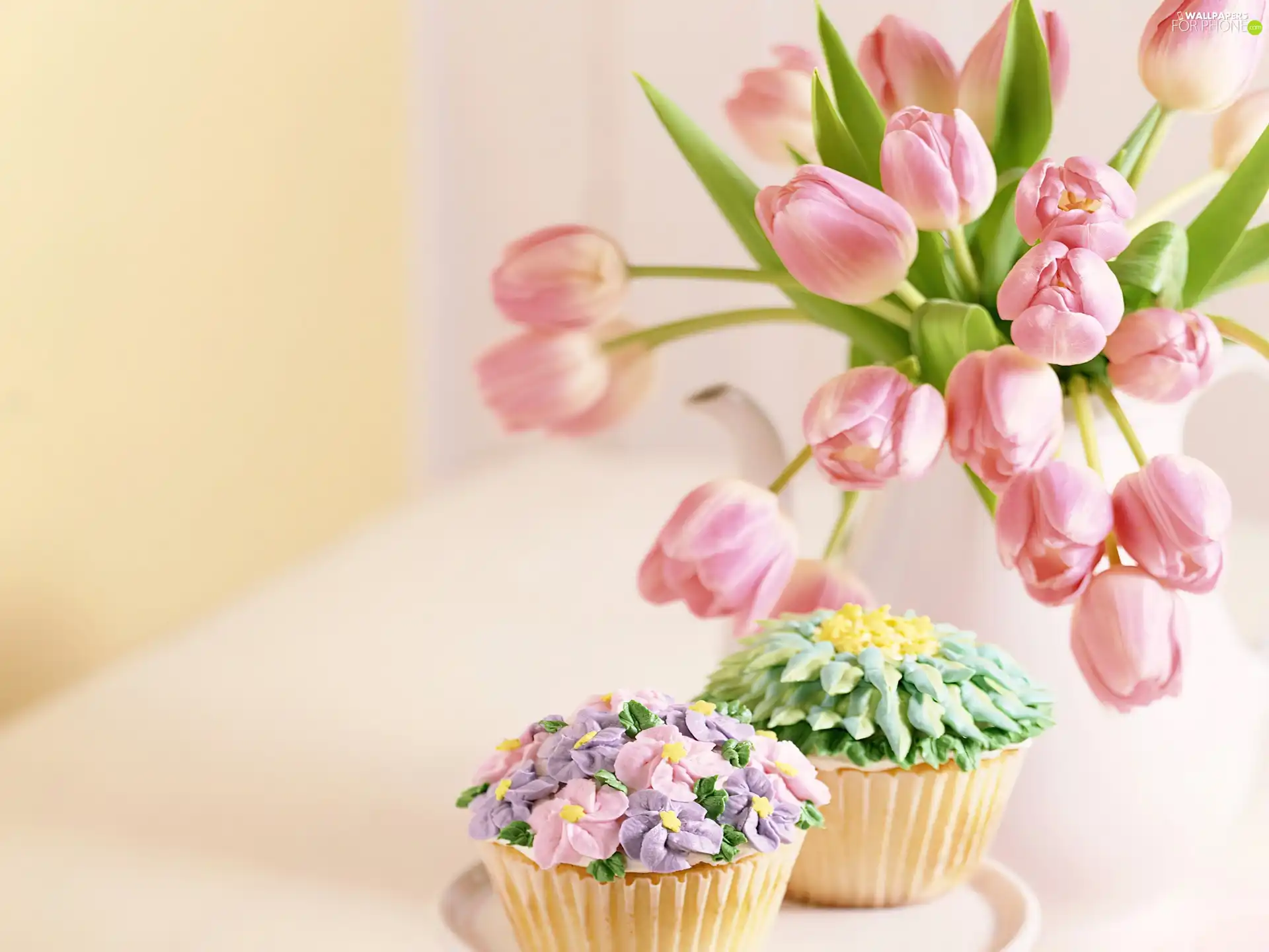 Two, Muffins, Tulips, cake, Flowers