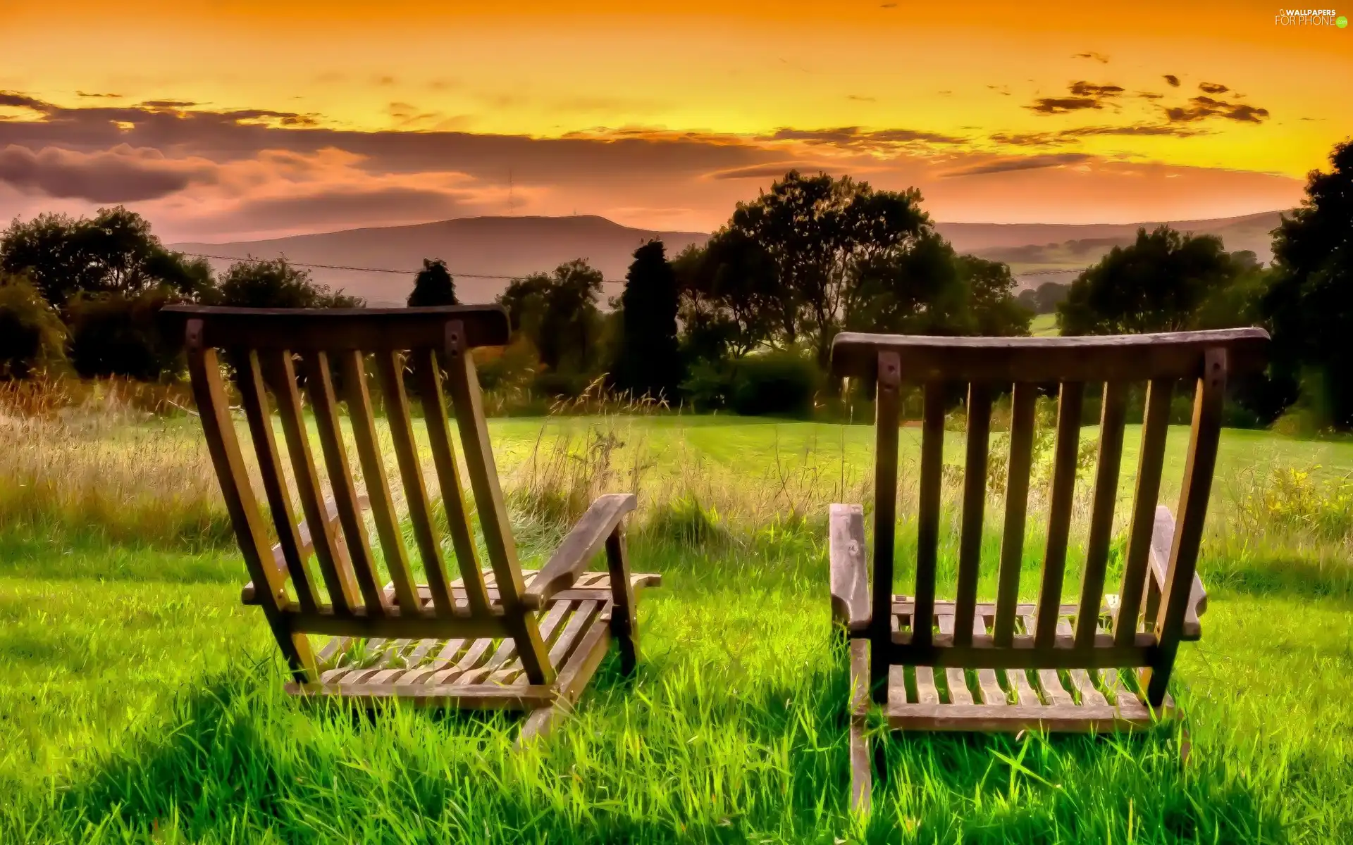 Two cars, seats, sun, Meadow, west