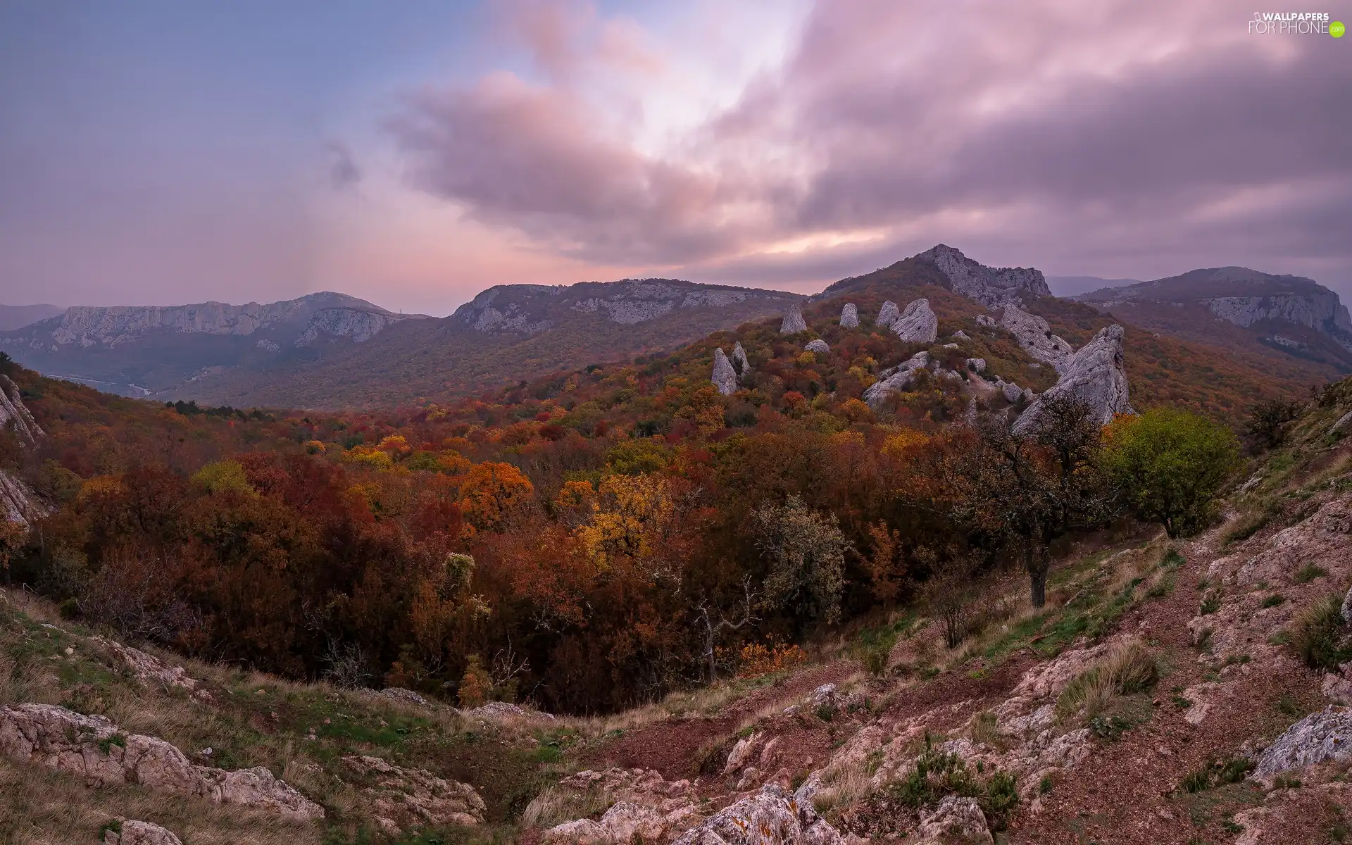 woods, trees, Sevastopol, viewes, Crimean Mountains, autumn, Ukraine