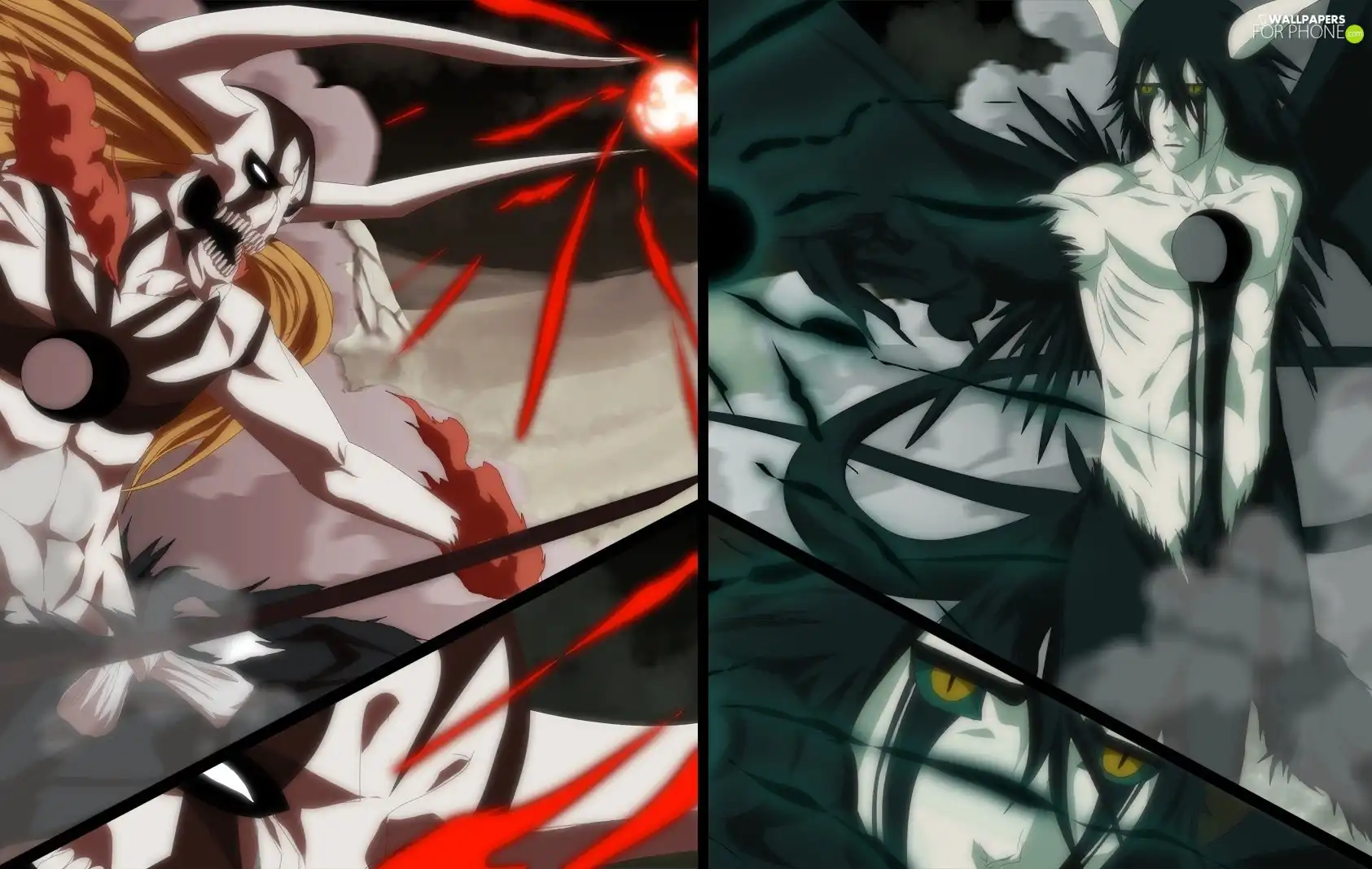 Ulquiorra, Fight, Ichigo