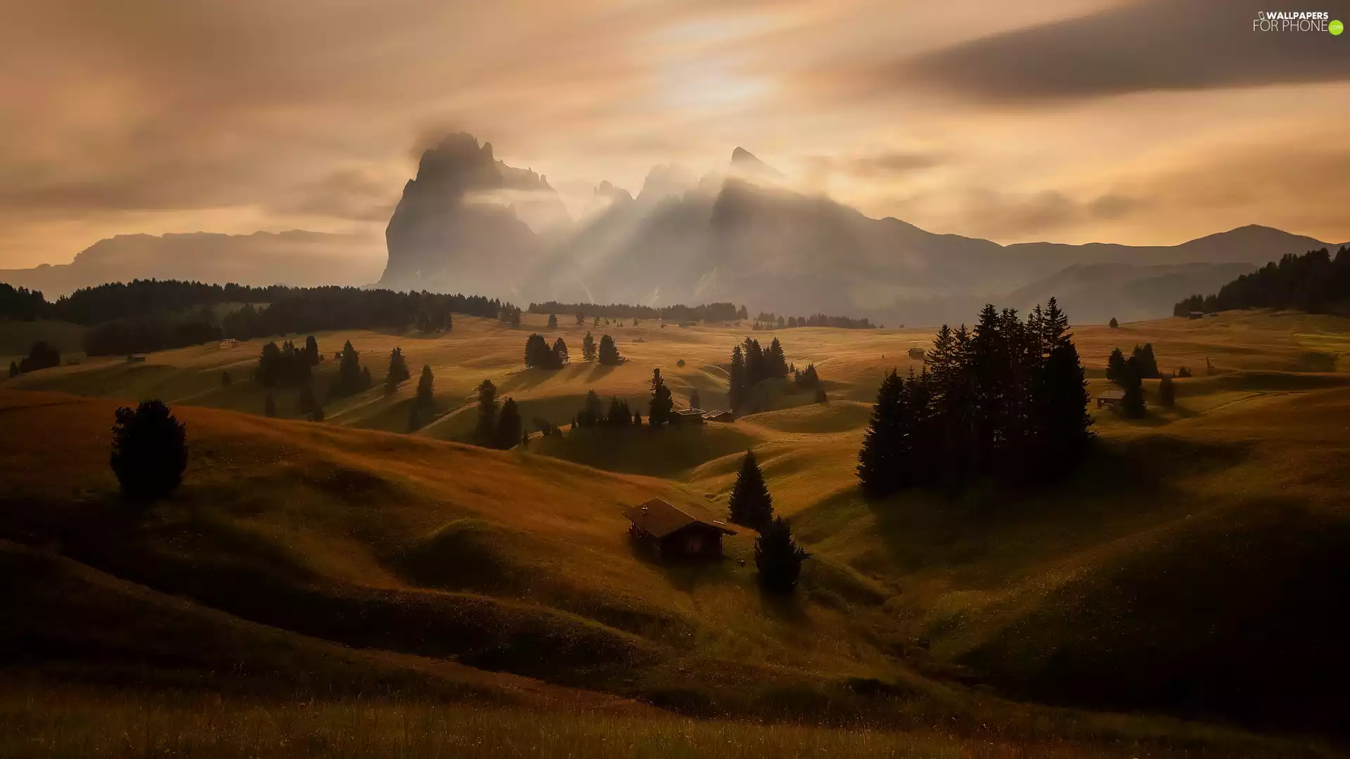 Houses, Sassolungo Mountains, The Hills, viewes, Val Gardena Valley, Seiser Alm Meadow, Dolomites, Italy, trees, Sunrise