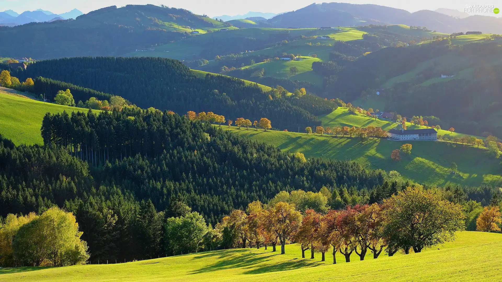 viewes, The Hills, Valley, trees, Mountains