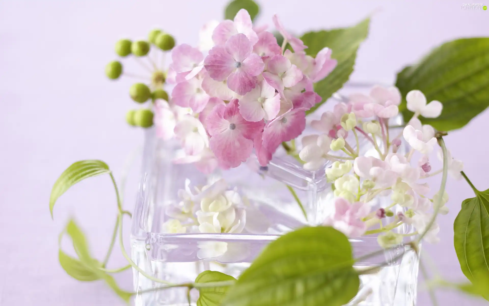Vase, bouquet, flowers