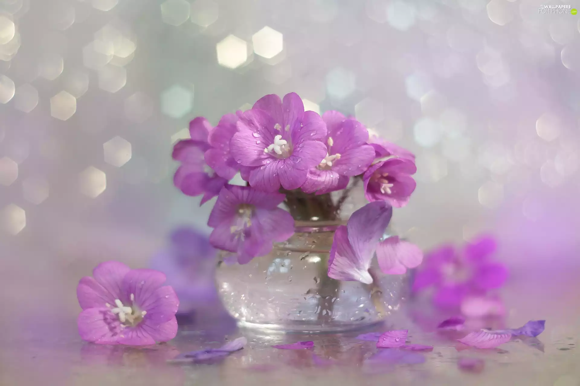 vase, purple, Flowers