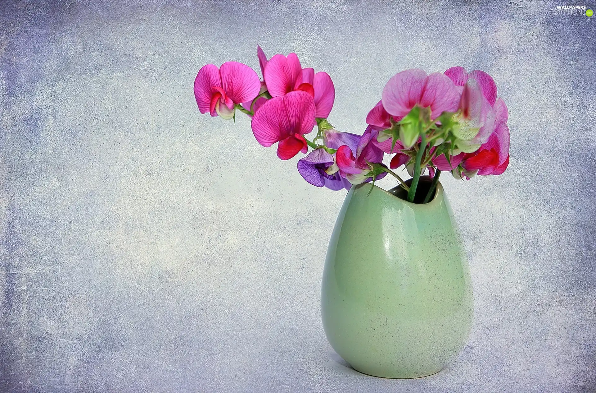 vase, Flowers, peas