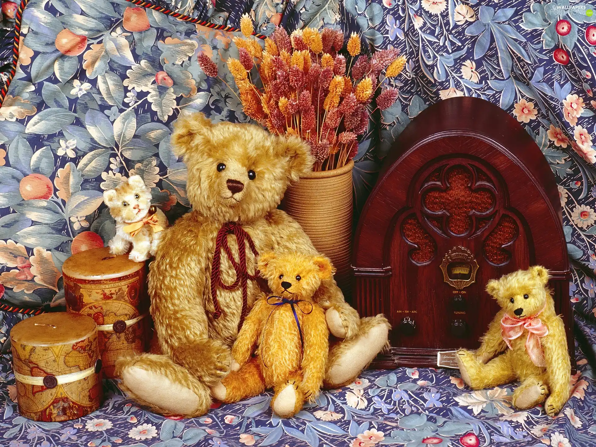 Vase, bear, radio