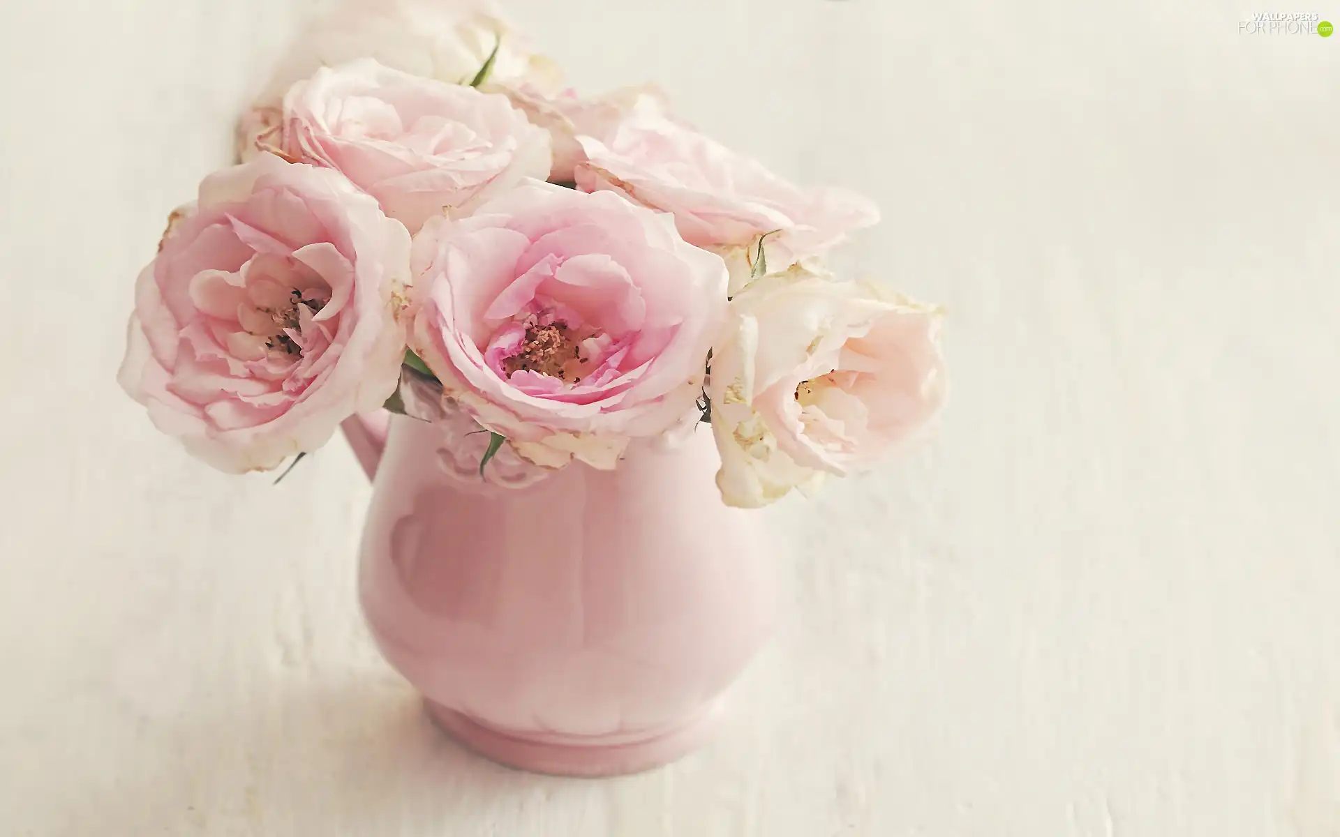 vase, Pink, roses
