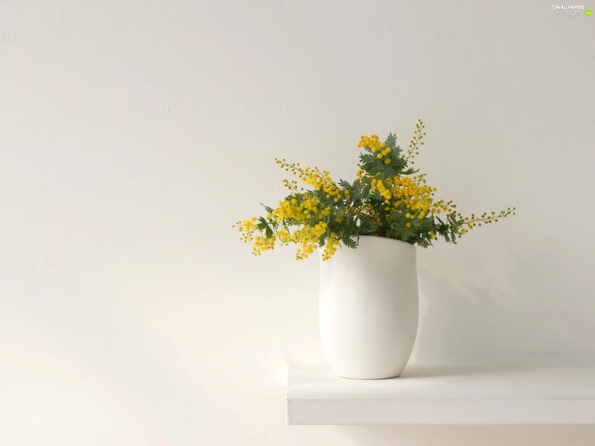 Yellow, White, Vase, Flowers