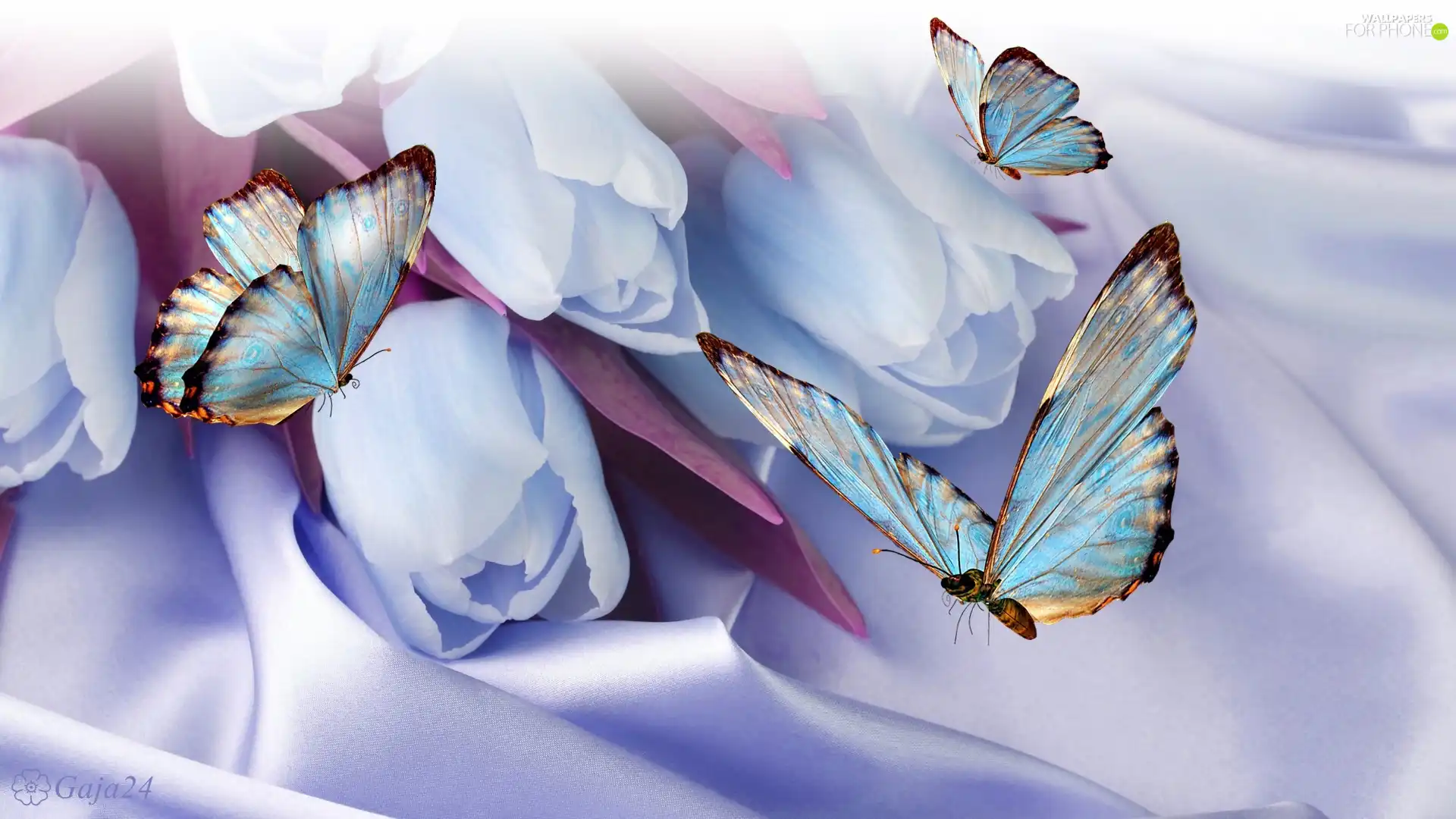 Tulips, 3D, Vectorial, Blue Butterflies