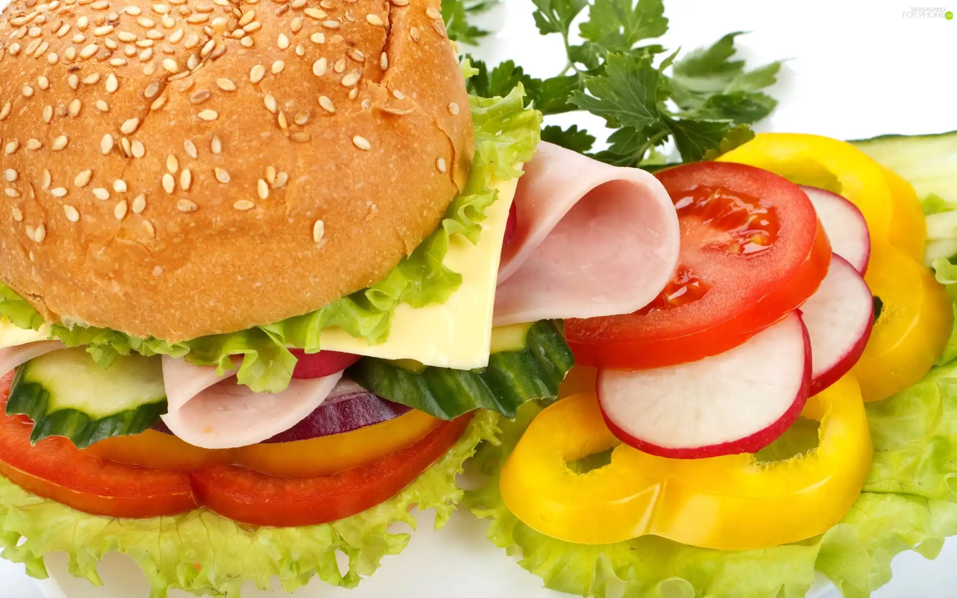 hamburger, ham, vegetables, cheese