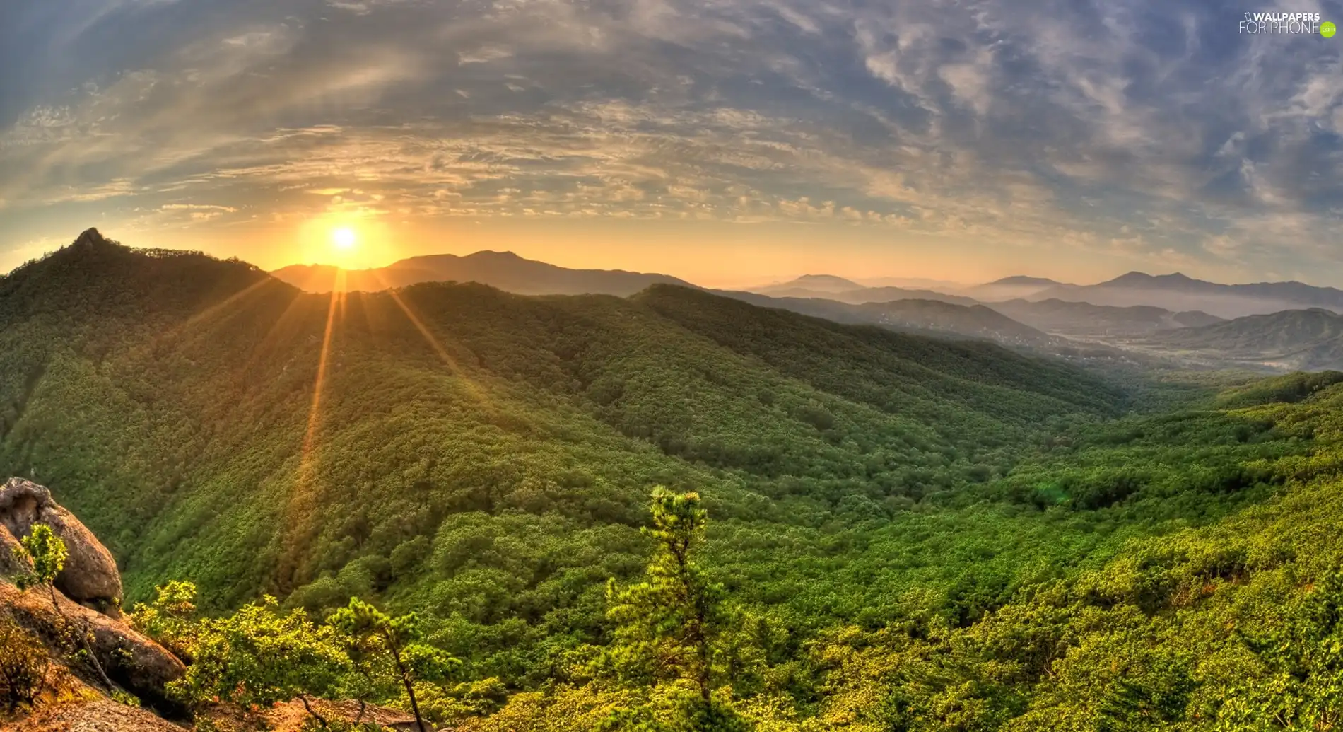 east, Mountains, VEGETATION, sun