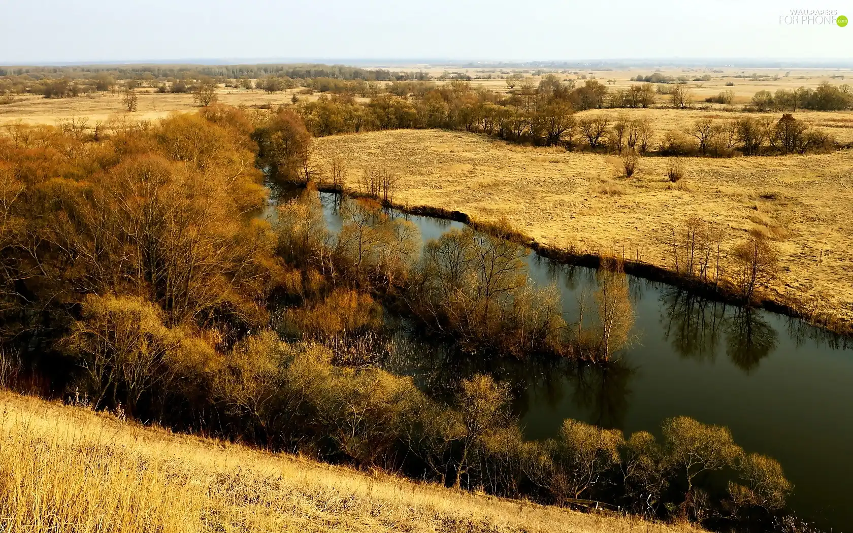 VEGETATION, River, medows