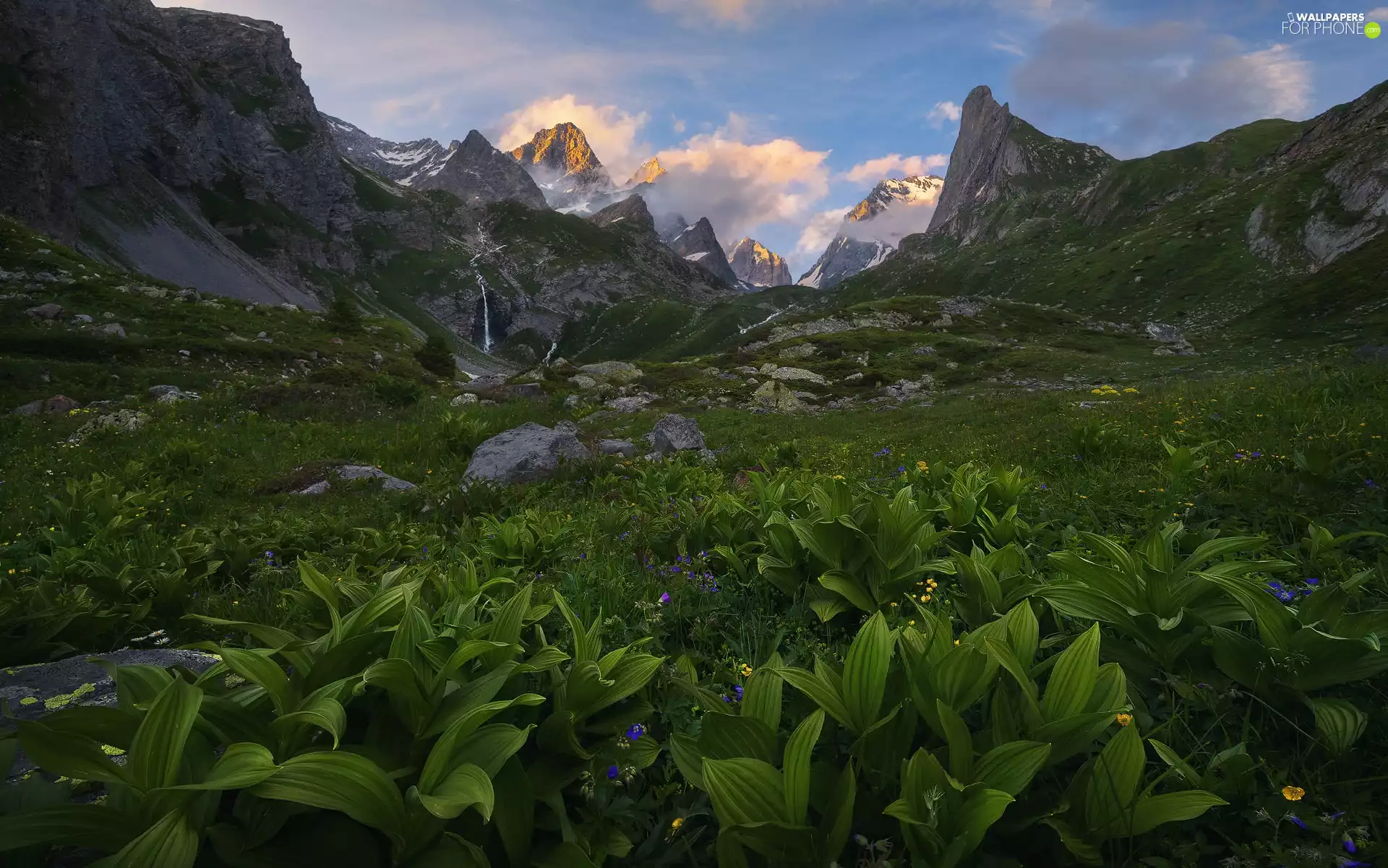 Mountains, Stones, clouds, VEGETATION