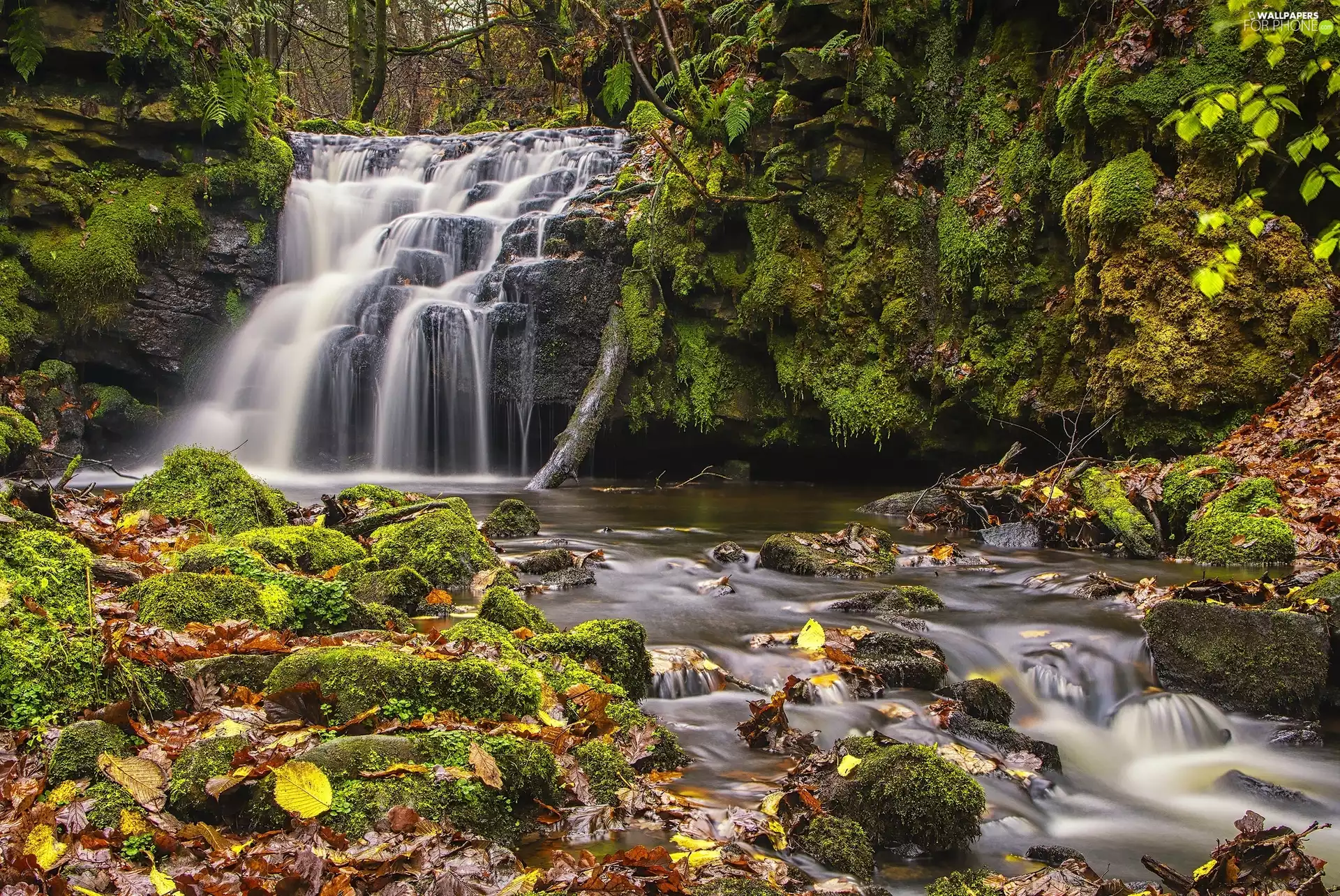 Stones, VEGETATION, River, mossy, waterfall