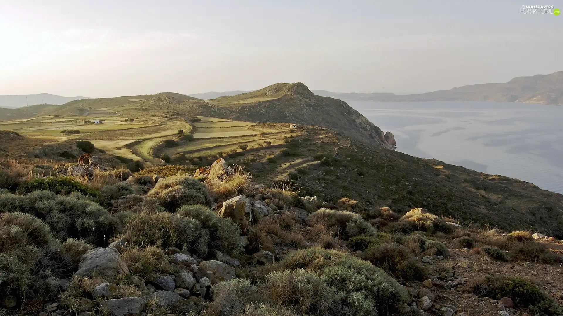 Mountains, The poor, VEGETATION