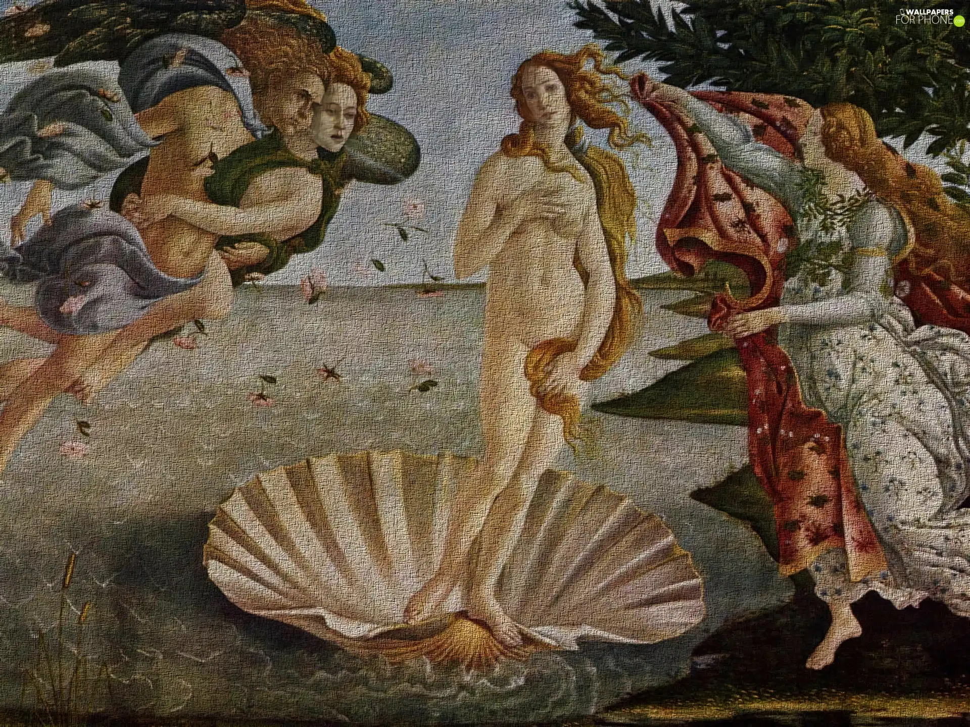 Botticelli, birth, venus, Sandro
