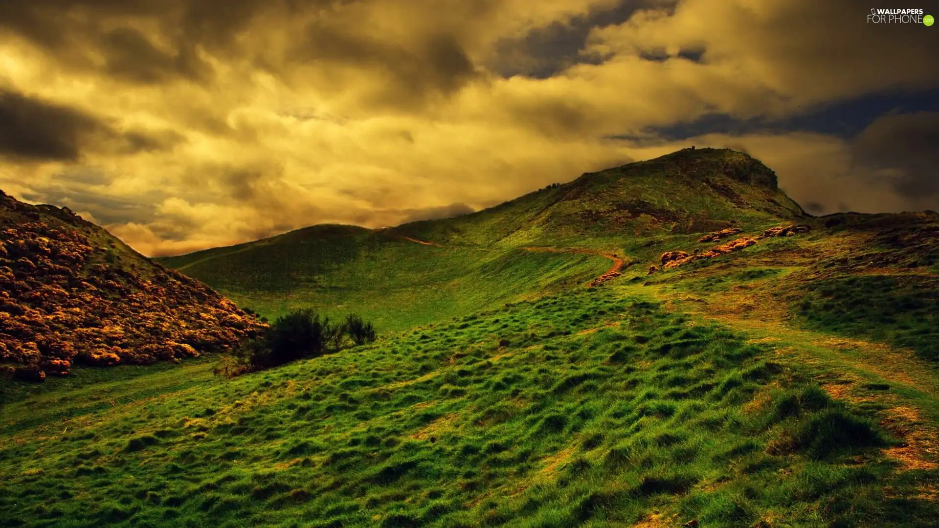 view, green, mountains