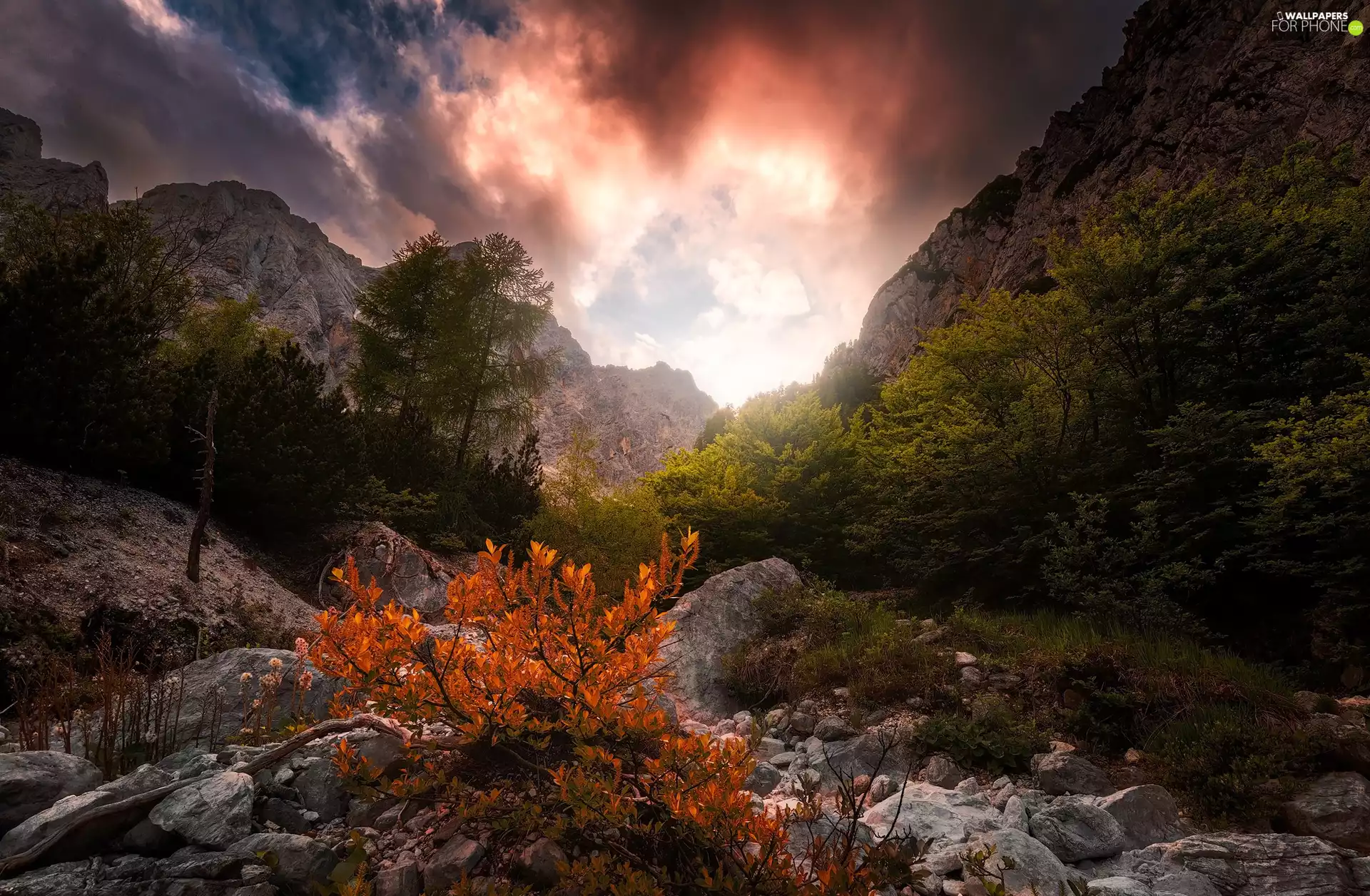 trees, Julian Alps Mountains, rocks, Triglav National Park, Slovenia, viewes, Great Sunsets