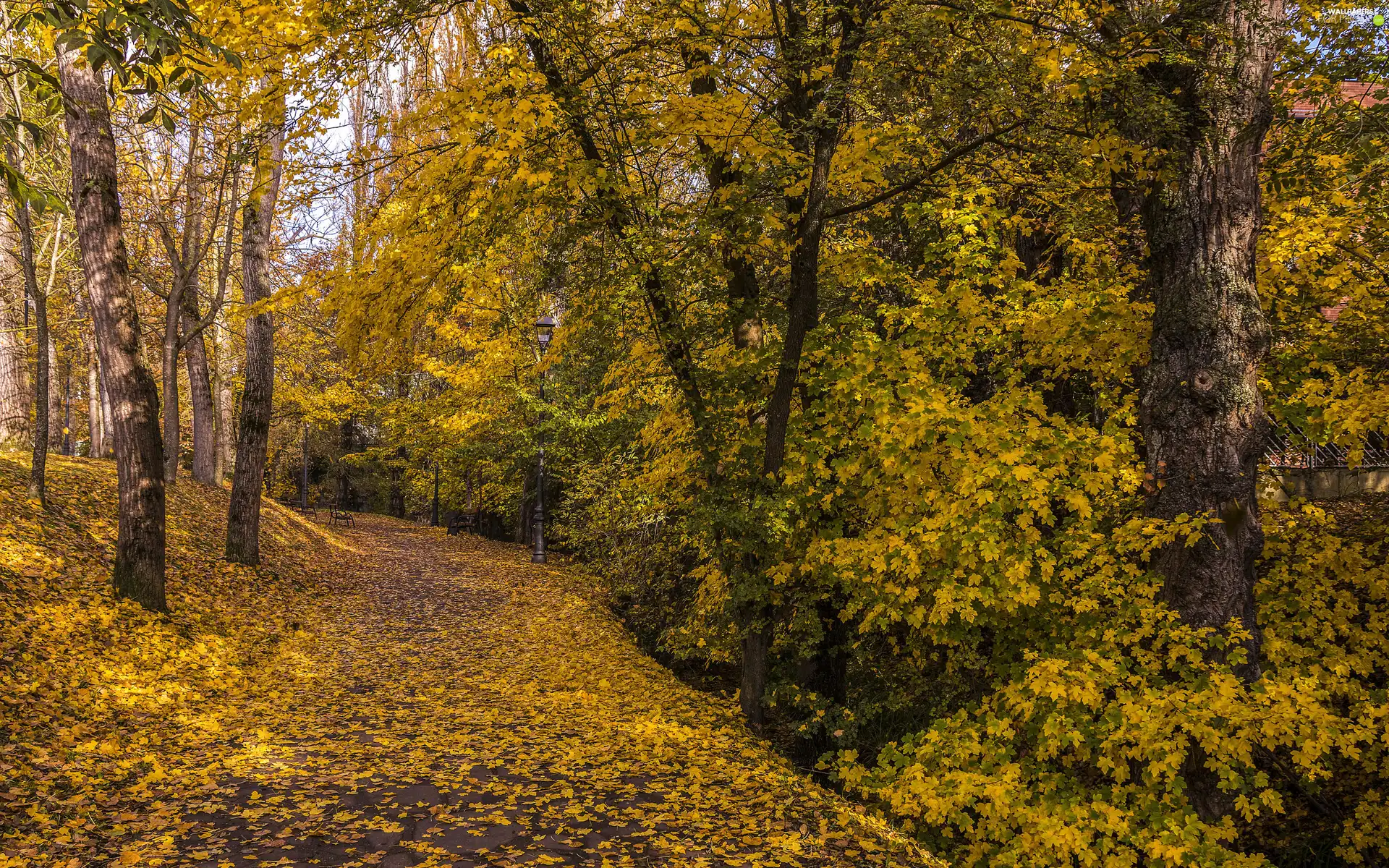 bench, Lighthouse, autumn, trees, Leaf, Way, Park, viewes