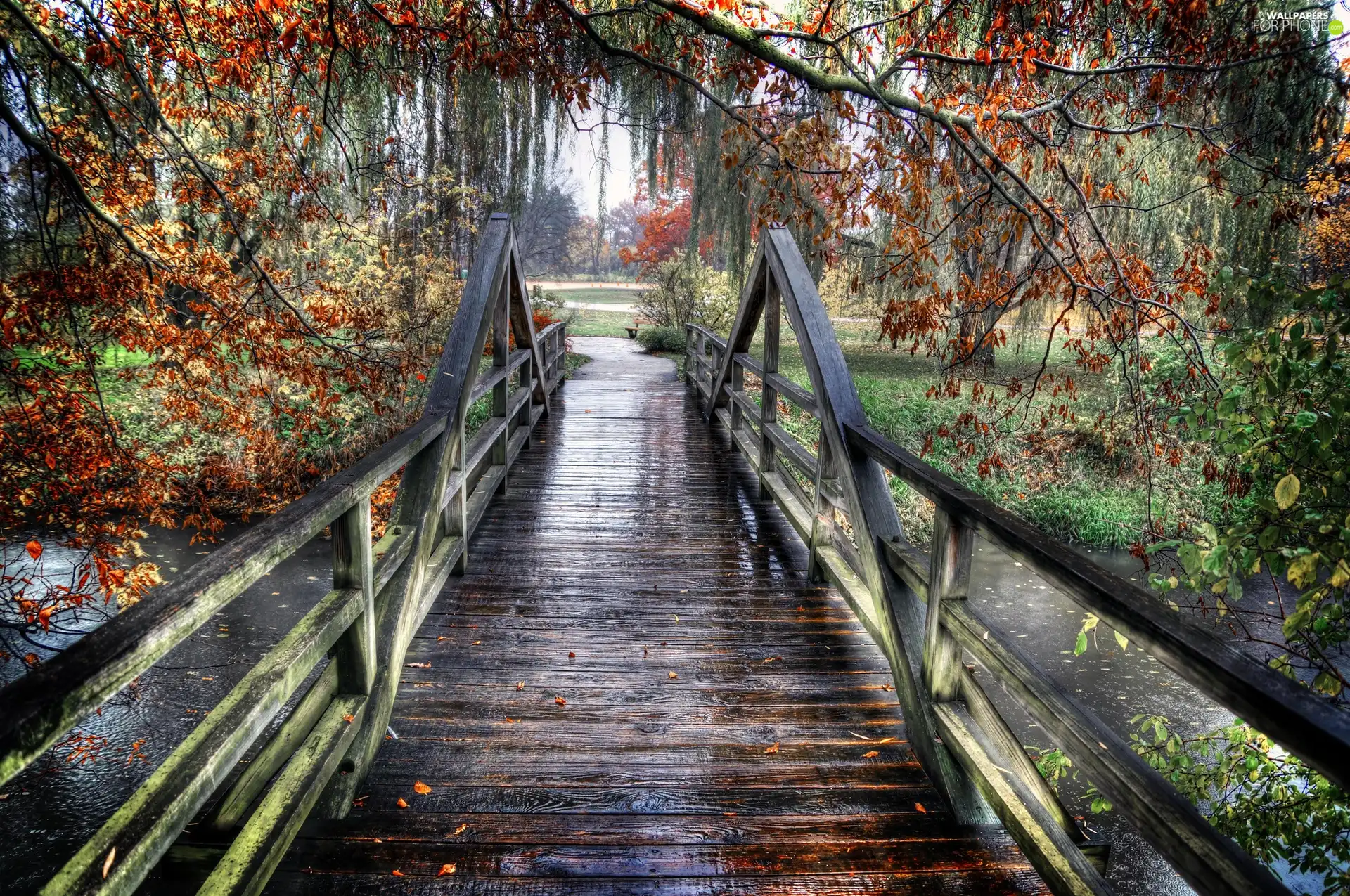 viewes, autumn, bridge, trees, River