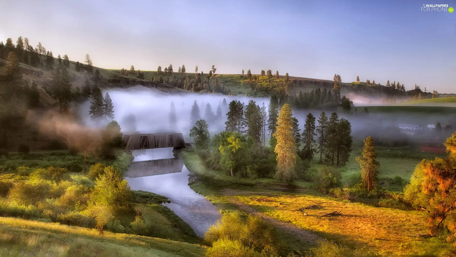 Fog, River, viewes, autumn, trees, bridge