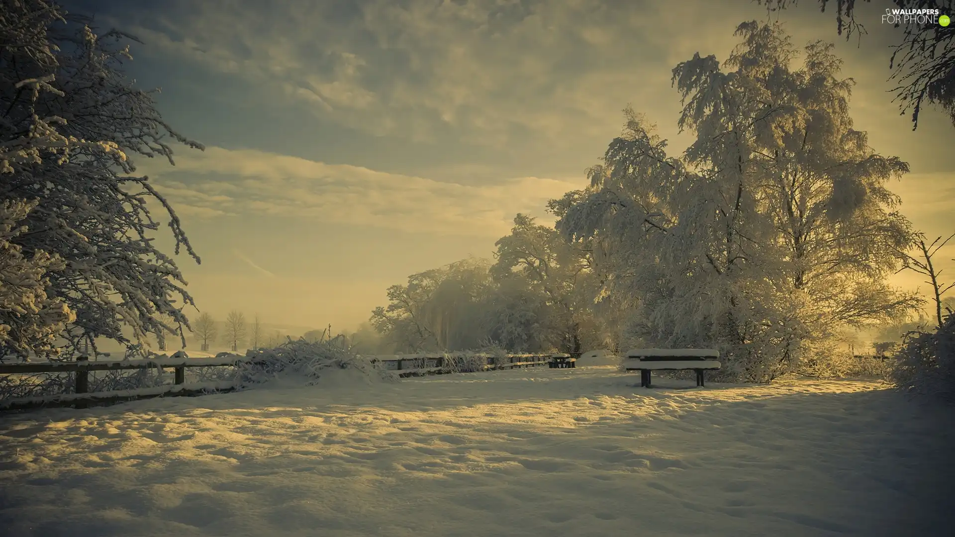 snow, winter, viewes, Bench, trees, Frost
